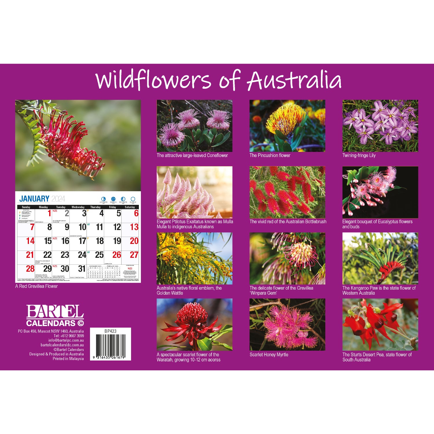 Wildflowers of Australia - 2024 Rectangle Wall Calendar 16 Months Floral Images