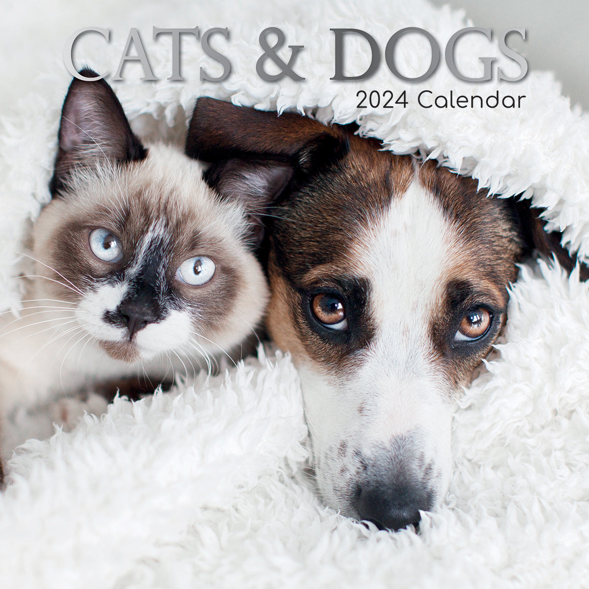 Cats &amp; Dogs - 2024 Square Wall Calendar Pets Animals 16 Months Premium Planner
