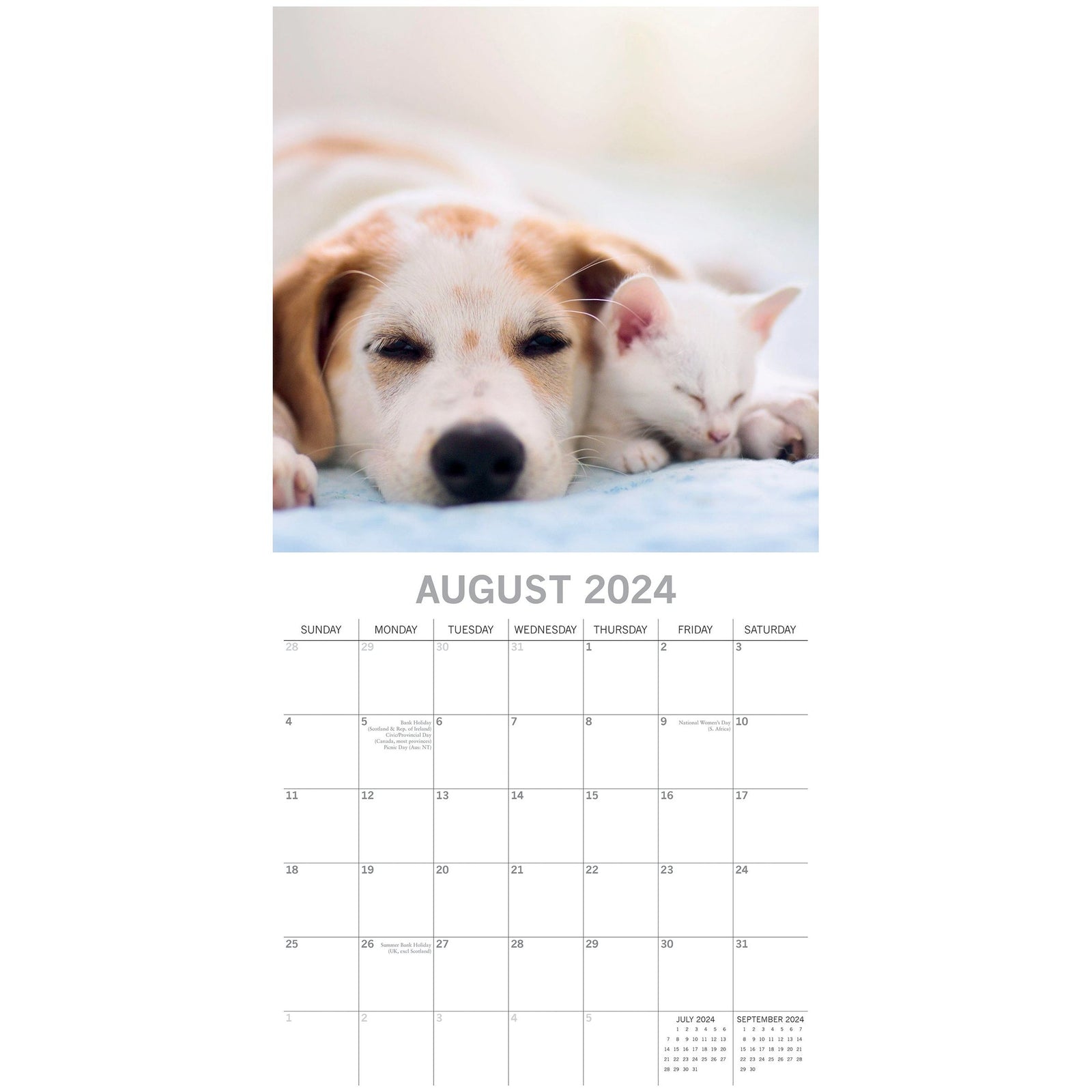 Cats & Dogs - 2024 Square Wall Calendar Pets Animals 16 Months Premium Planner