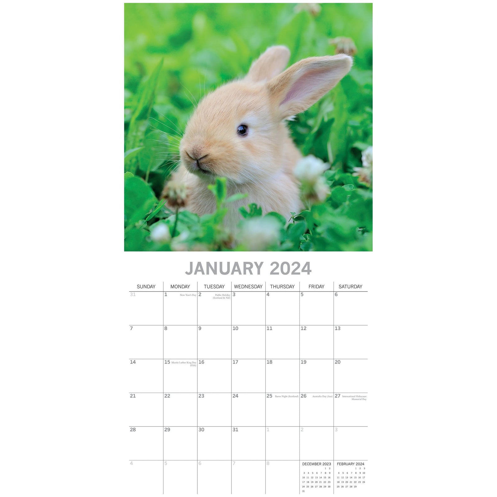 Cute Bunnies - 2024 Square Wall Calendar Pets Animals 16 Months Premium Planner