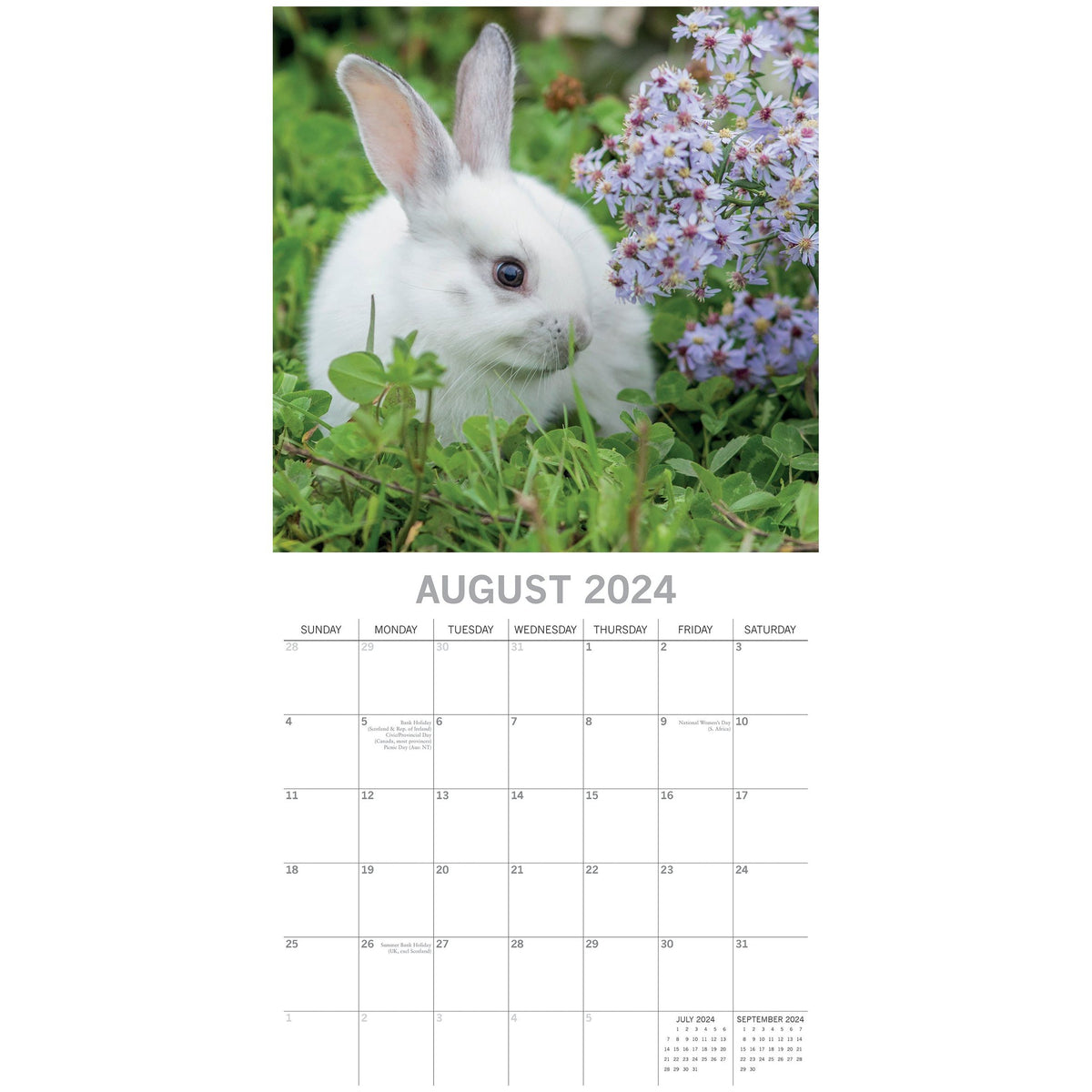 Cute Bunnies - 2024 Square Wall Calendar Pets Animals 16 Months Premium Planner