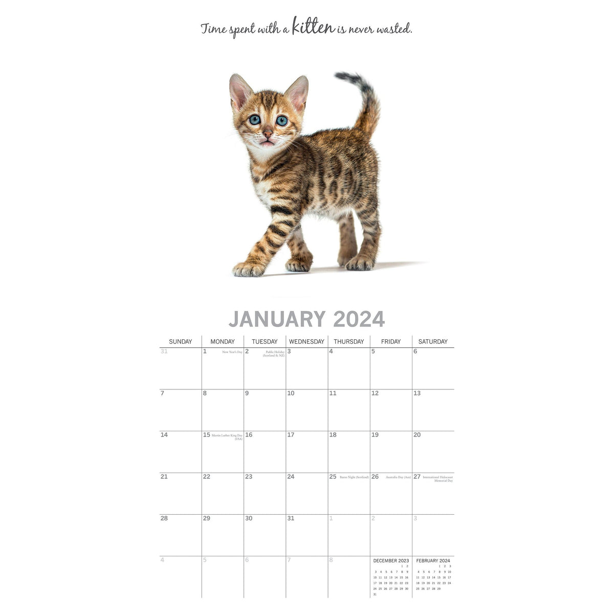 Cute Kittens - 2024 Square Wall Calendar Pets Animals 16 Months Premium Planner