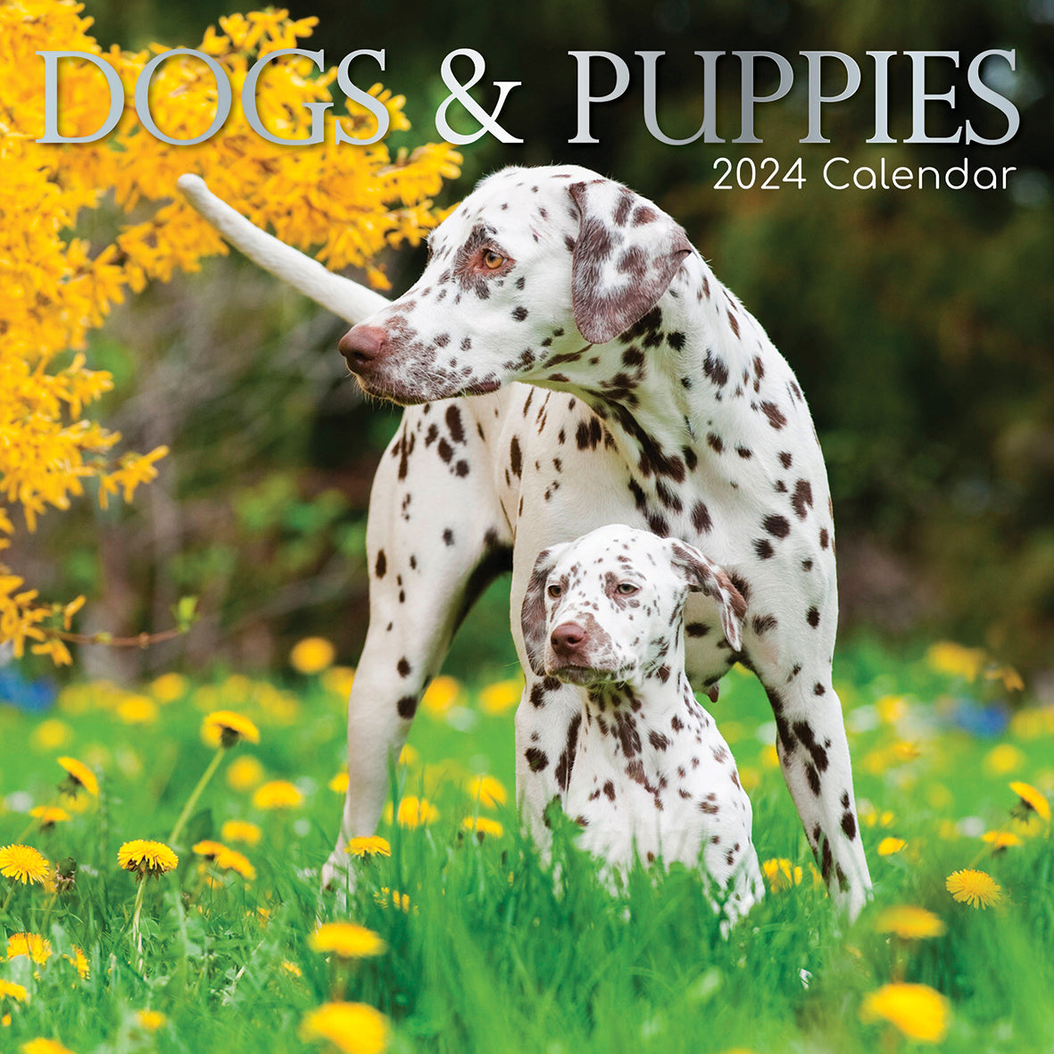 Dogs &amp; Puppies - 2024 Square Wall Calendar Pets Animals 16 Month Premium Planner