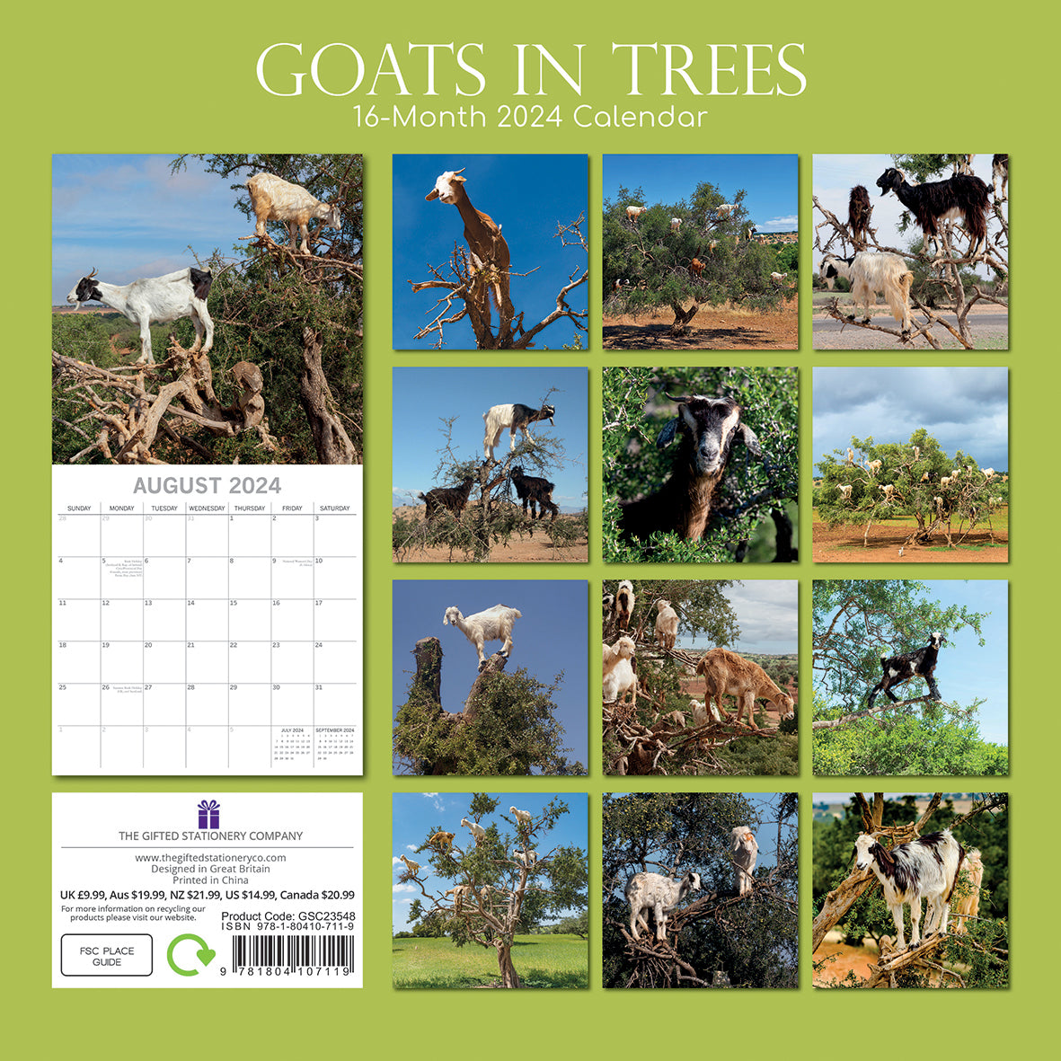 Goats in Trees - 2024 Square Wall Calendar Pets Animals 16 Month New YearPlanner