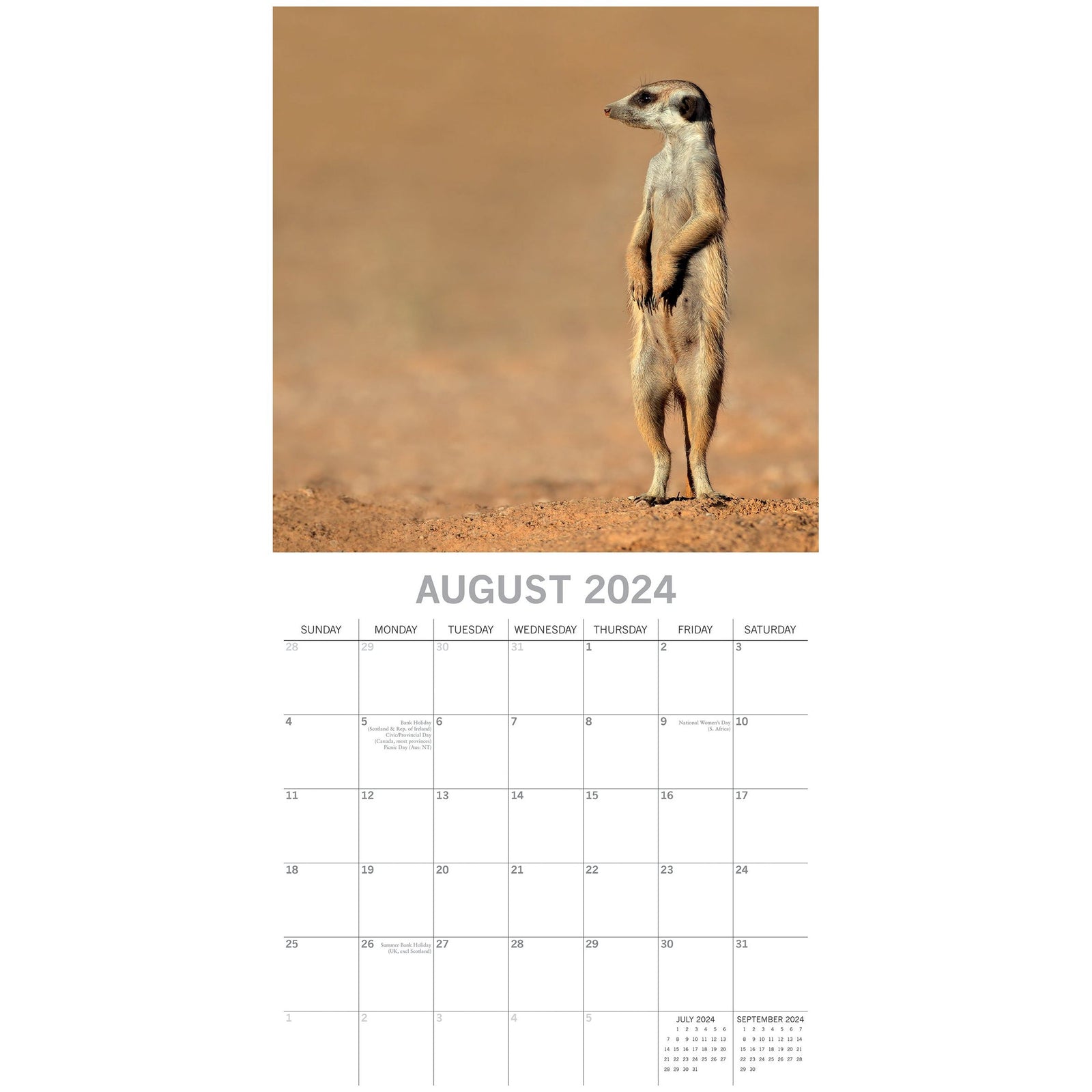 Meerkats - 2024 Square Wall Calendar Pets Animals 16 Months Premium Planner Gift