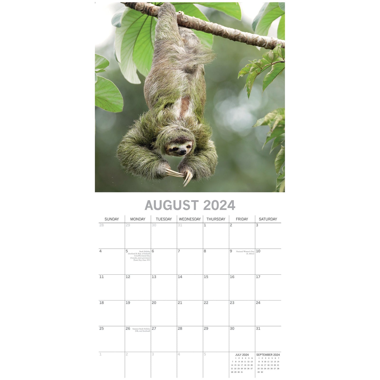 Sloths - 2024 Square Wall Calendar Pets Animals 16 Months New Year Gift Planner