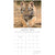 Tigers - 2024 Square Wall Calendar Pets Animals 16 Months New Year Gift Planner