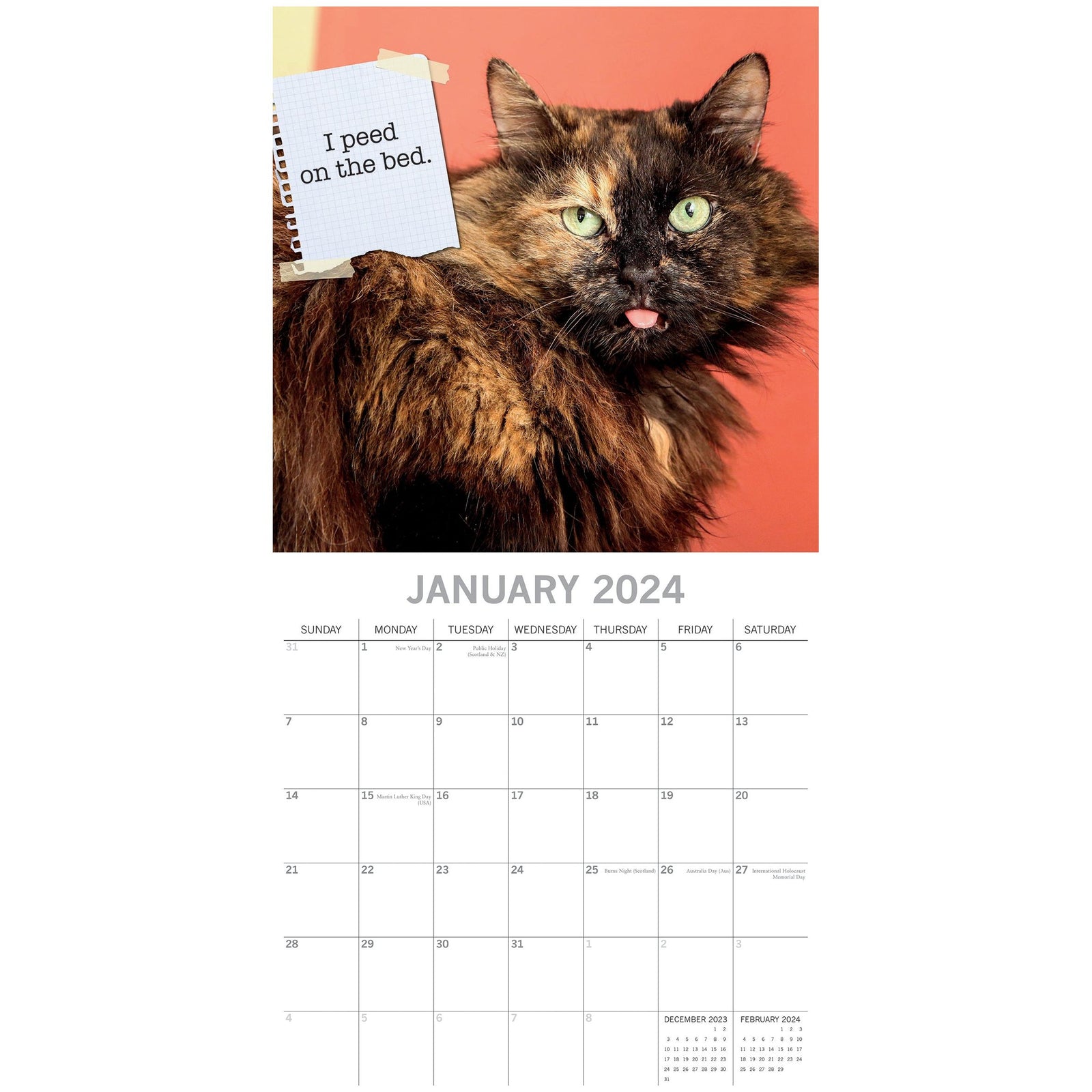 Cat Shaming - 2024 Square Wall Calendar Pets Animals 16 Months Premium Planner