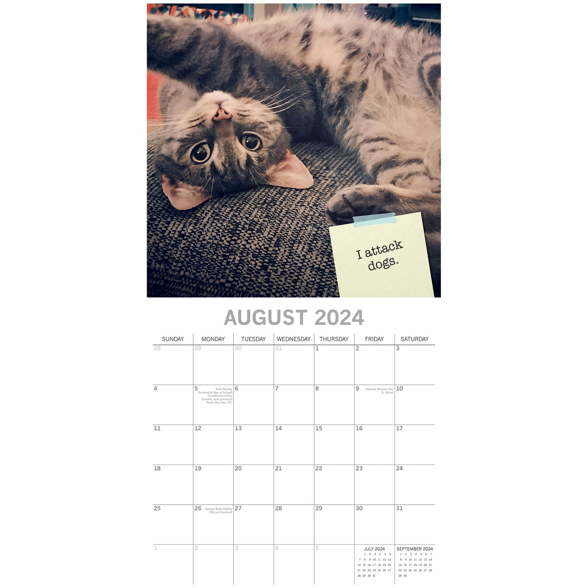 Cat Shaming - 2024 Square Wall Calendar Pets Animals 16 Months Premium Planner