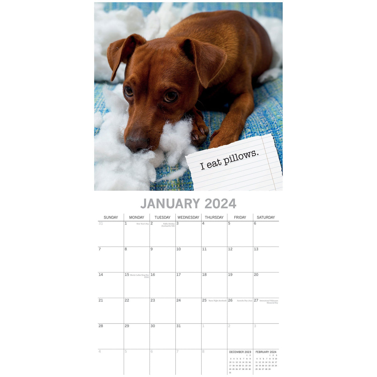 Dog Shaming - 2024 Square Wall Calendar Pets Animals 16 Months Premium Planner