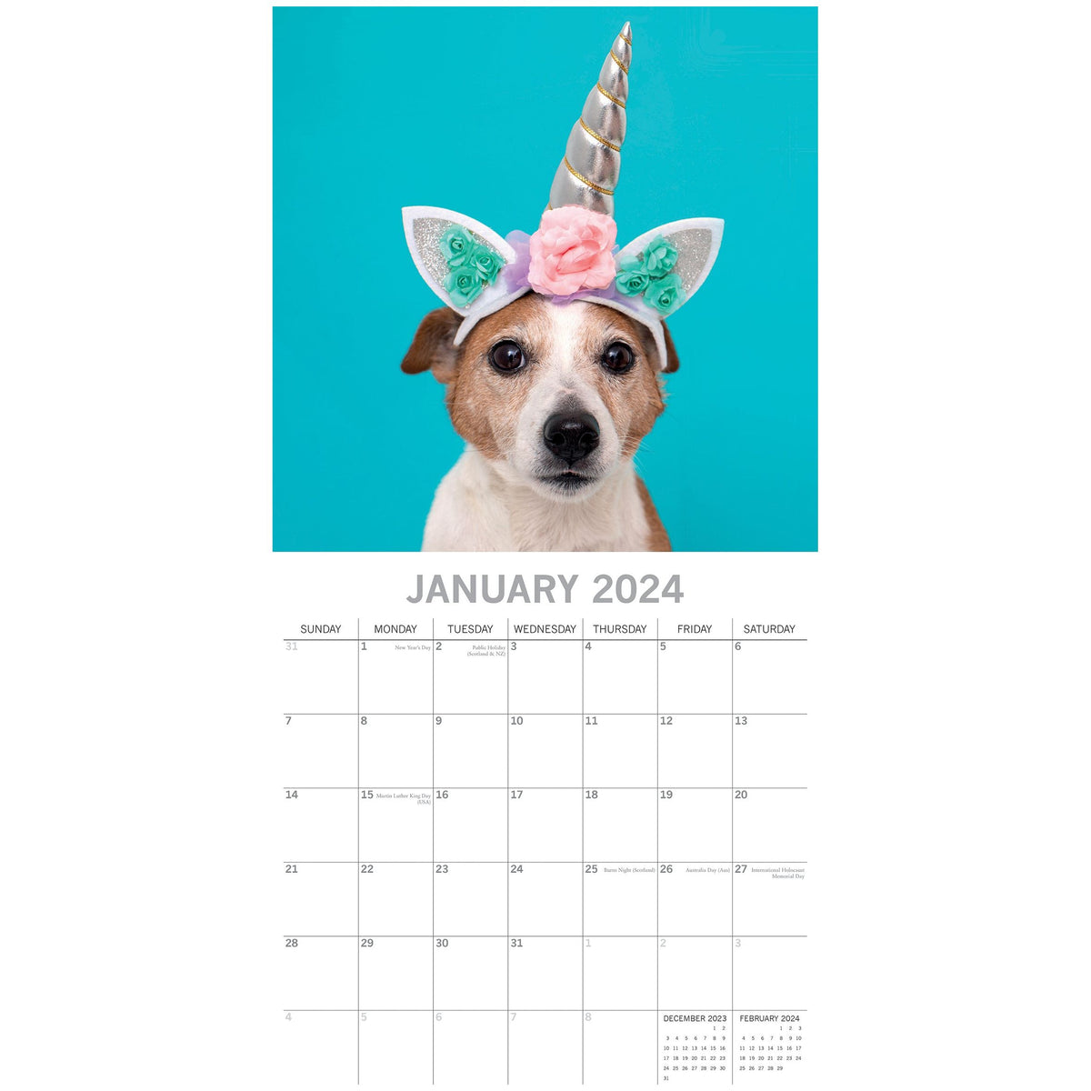 Dogs as Animals 2024 Square Wall Calendar Pets Animals 16 Months Premium Planner
