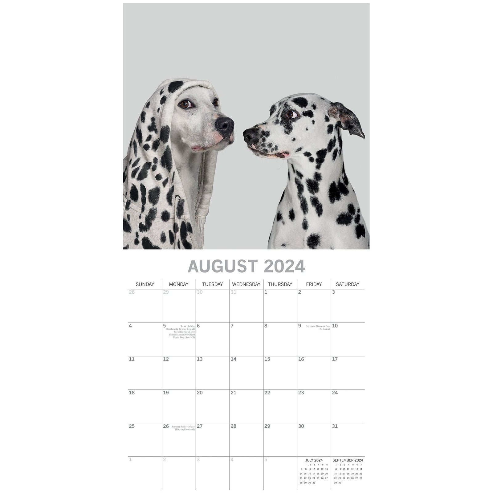 Dogs as Animals 2024 Square Wall Calendar Pets Animals 16 Months Premium Planner