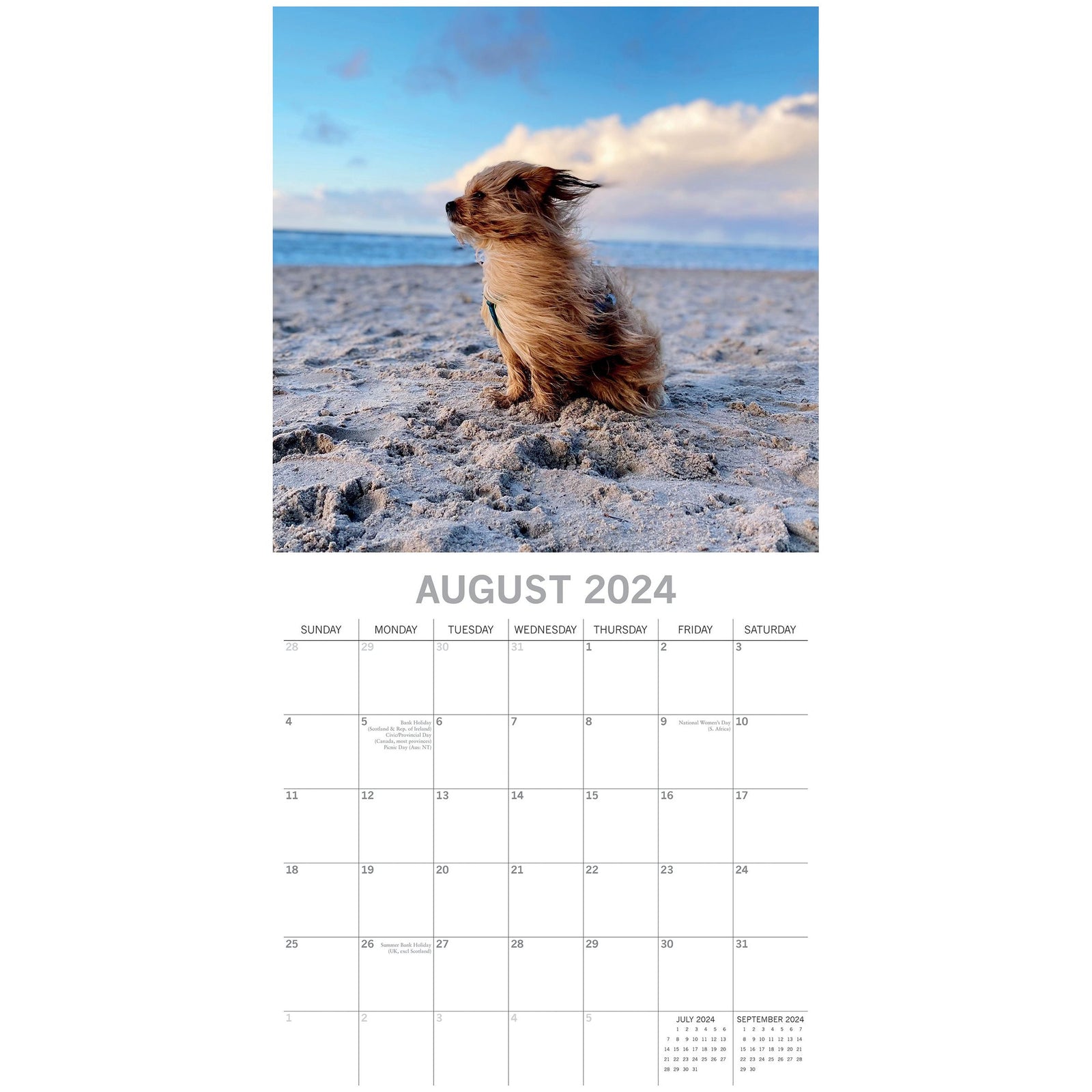 Dogs in the Wind 2024 Square Wall Calendar Pets Animals 16 Month Premium Planner