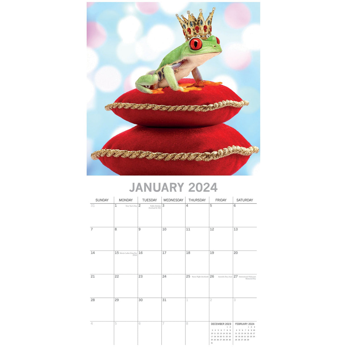 Fabulous Frogs - 2024 Square Wall Calendar Pets Animals 16 Month Premium Planner