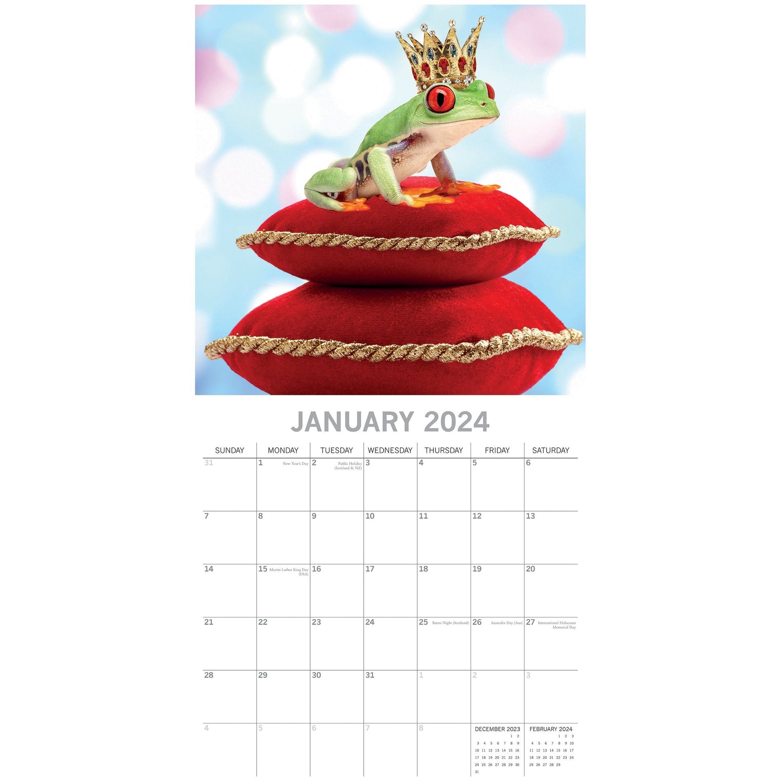 Fabulous Frogs - 2024 Square Wall Calendar Pets Animals 16 Month Premium Planner