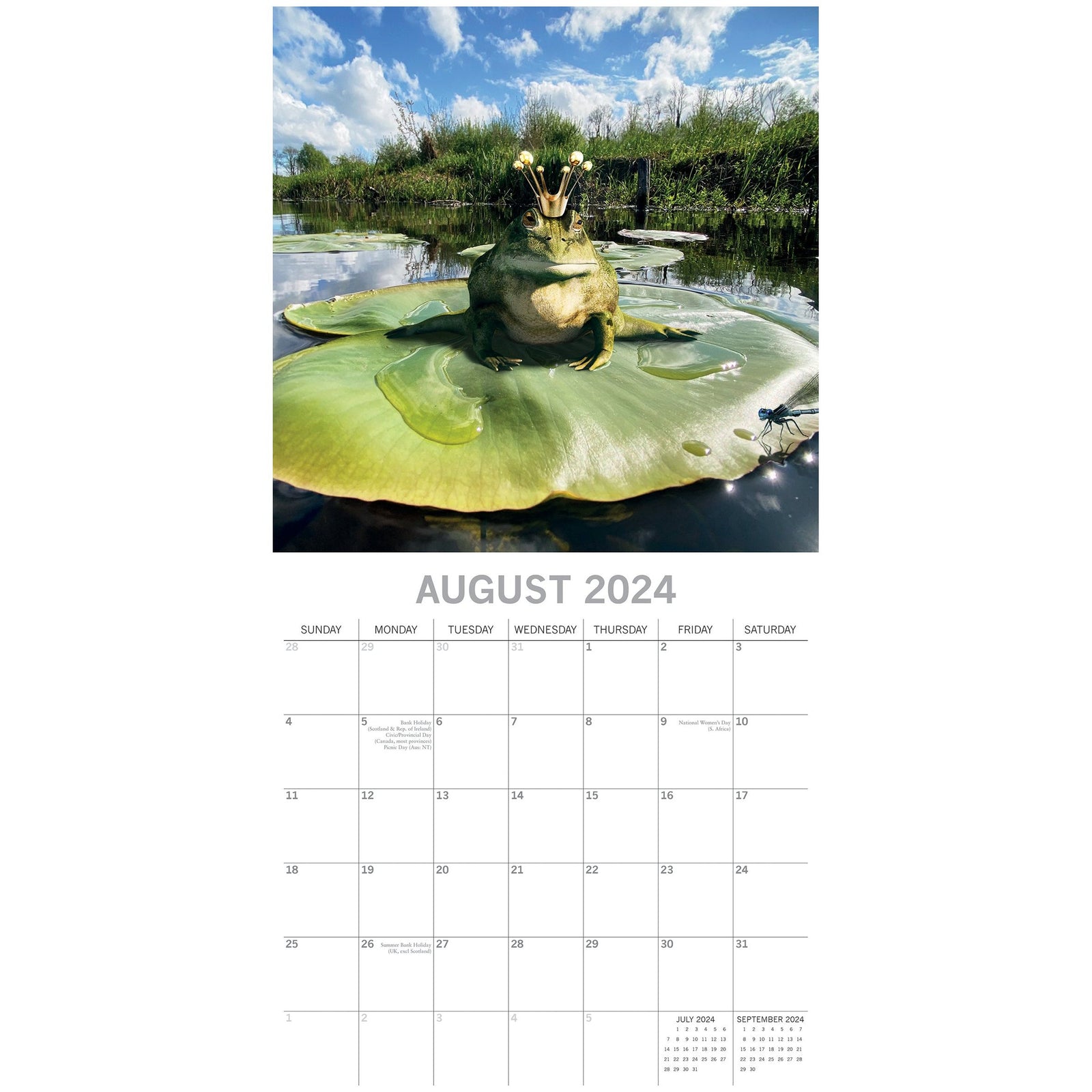 Fabulous Frogs - 2024 Square Wall Calendar Pets Animals 16 Month Premium Planner