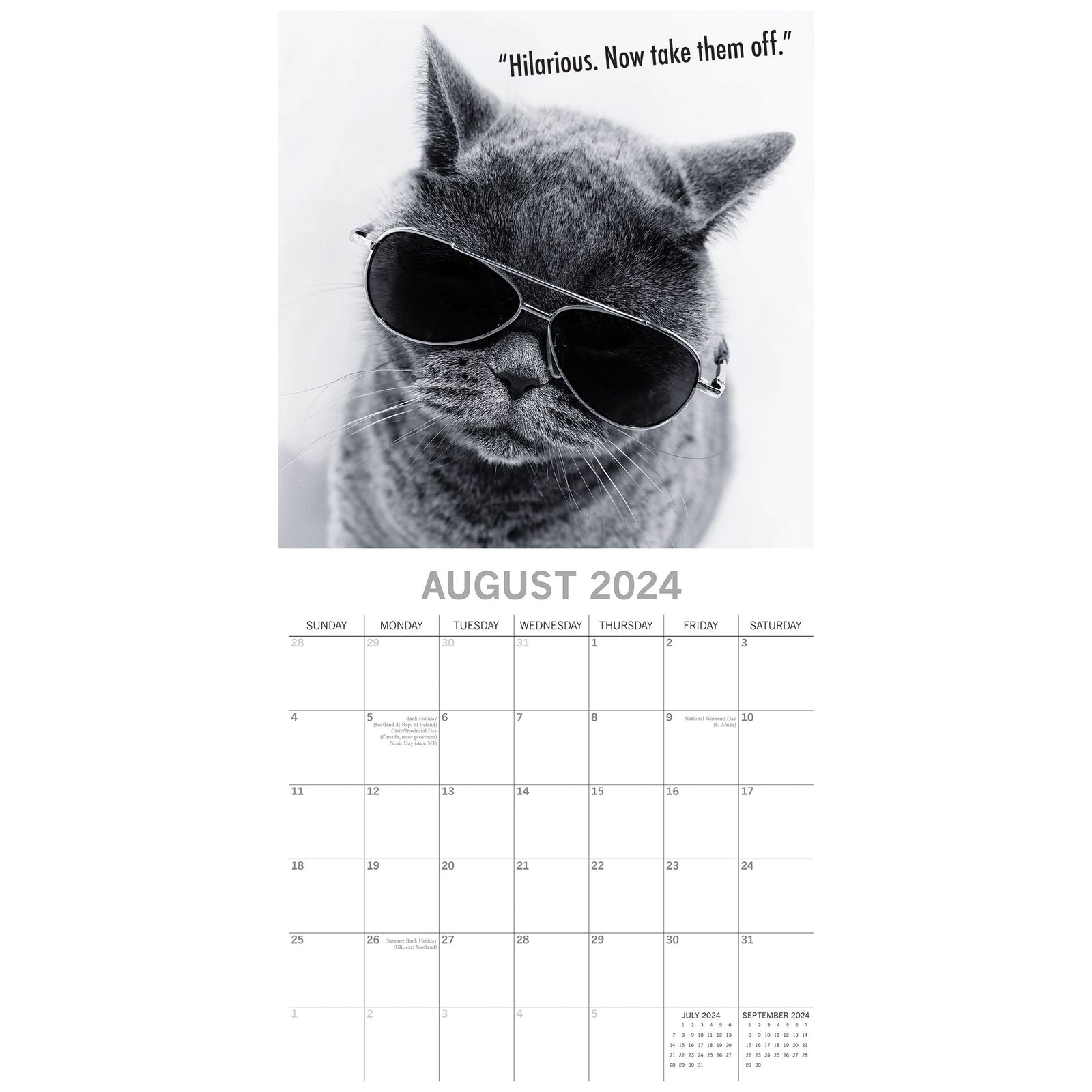 Moggies - 2024 Square Wall Calendar Pets Animals 16 Months Premium Planner Gift