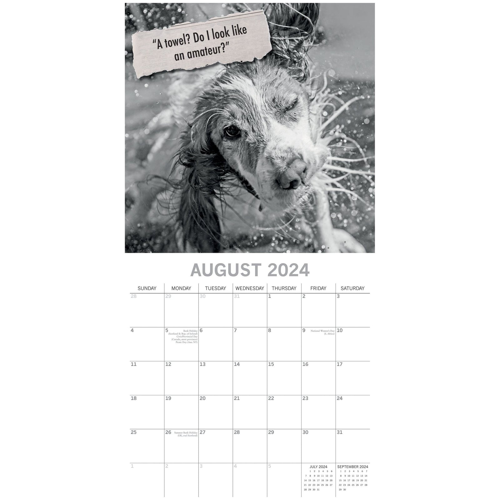 Mutts - 2024 Square Wall Calendar Pets Animals 16 Month Premium Planner New Year