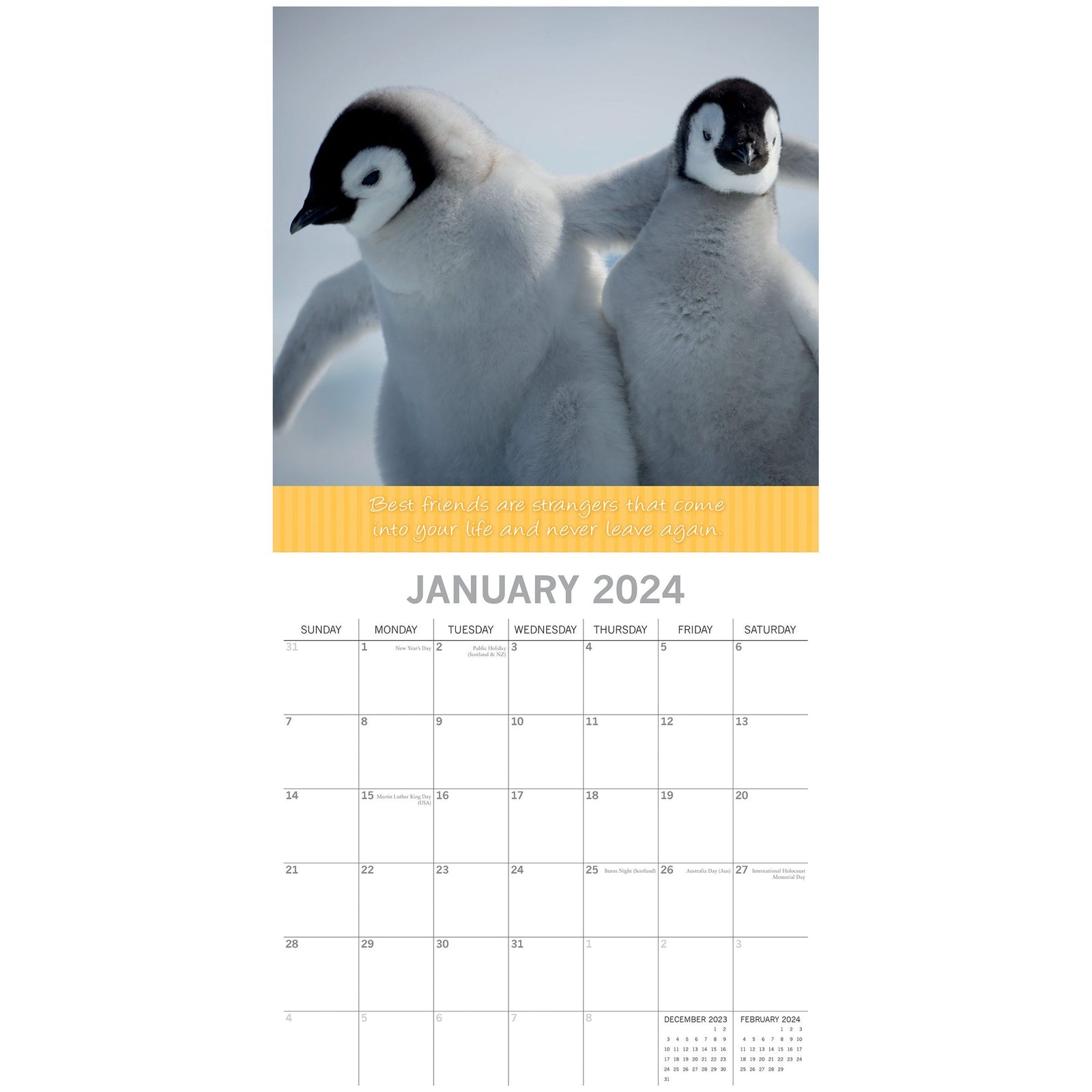Best Friends - 2024 Square Wall Calendar Pets Animals 16 Months Premium Planner