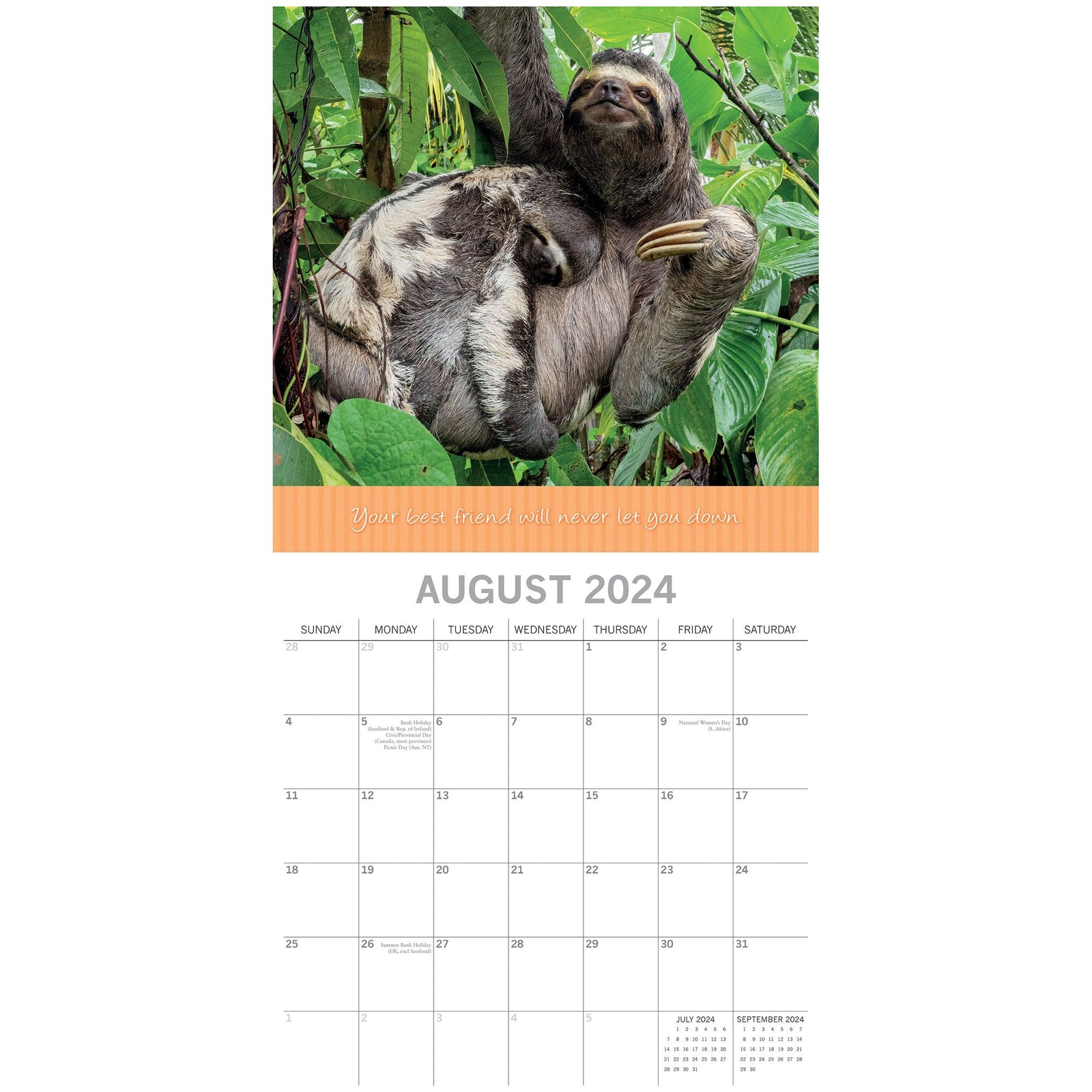 Best Friends - 2024 Square Wall Calendar Pets Animals 16 Months Premium Planner