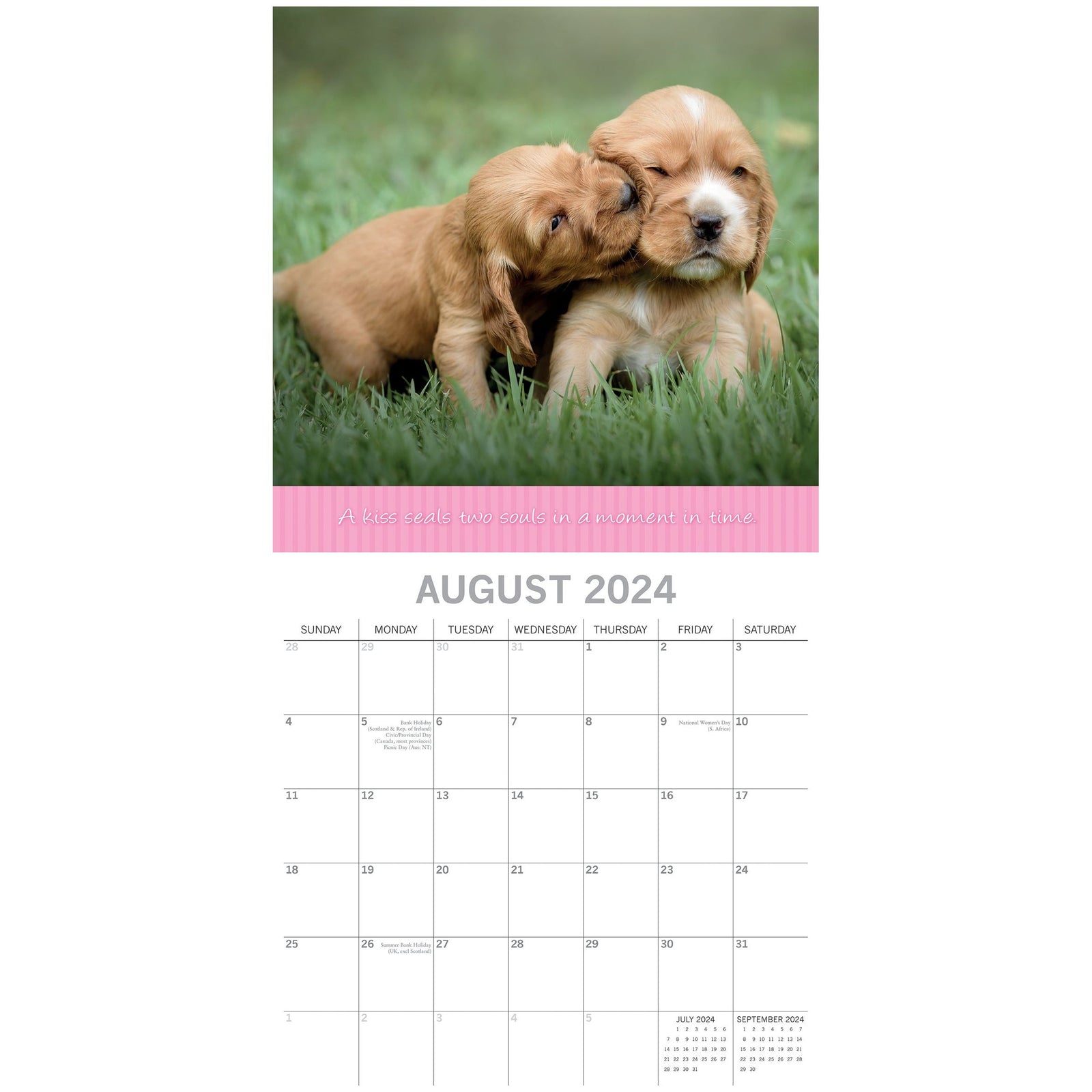 Kisses 2024 Square Wall Calendar Pets Animals 16 Months Premium Planner New Year