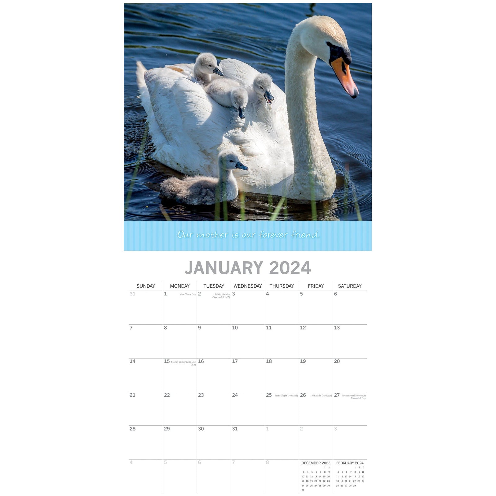 Mother's Love - 2024 Square Wall Calendar Pets Animals 16 Months Premium Planner