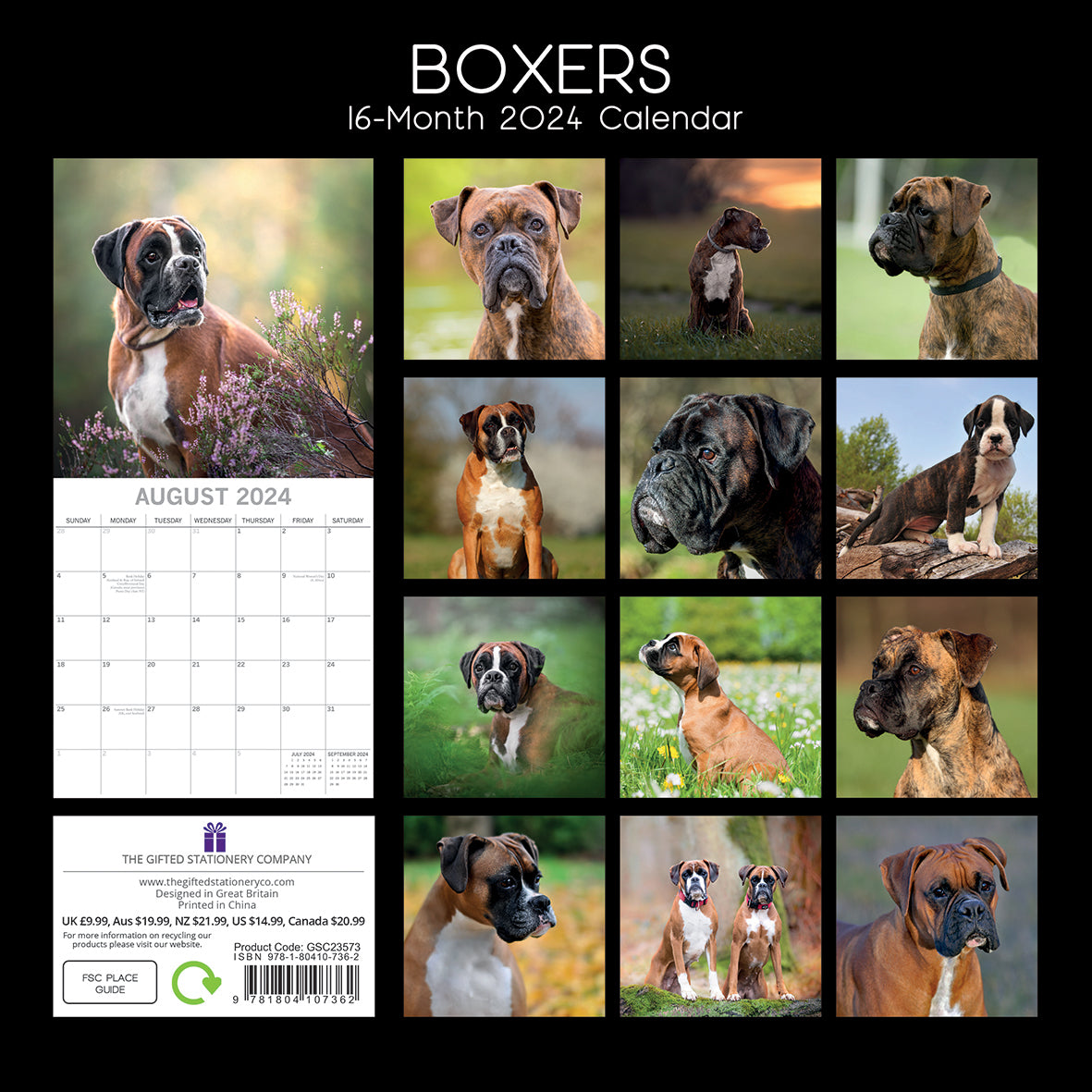 Boxers - 2024 Square Wall Calendar Pets Dog 16 Months Premium Planner New Year