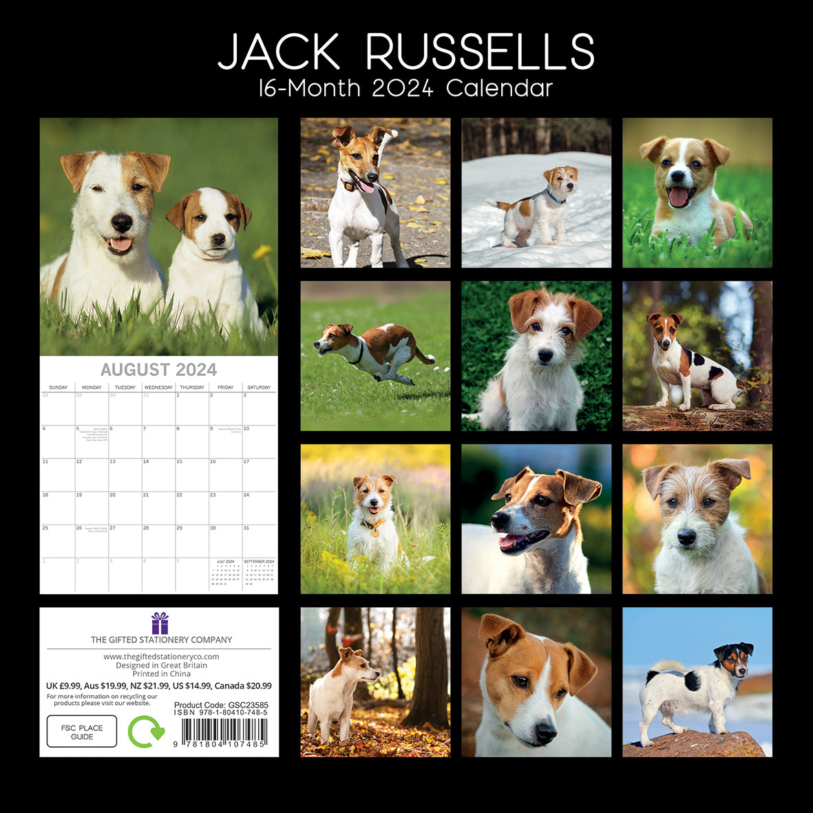 Jack Russells - 2024 Square Wall Calendar Pets Dog 16 Month Premium Planner Gift
