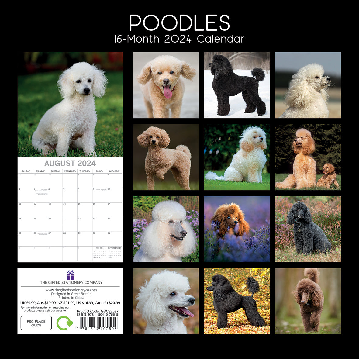 Poodles - 2024 Square Wall Calendar Pets Dog 16 Months Premium Planner New Year