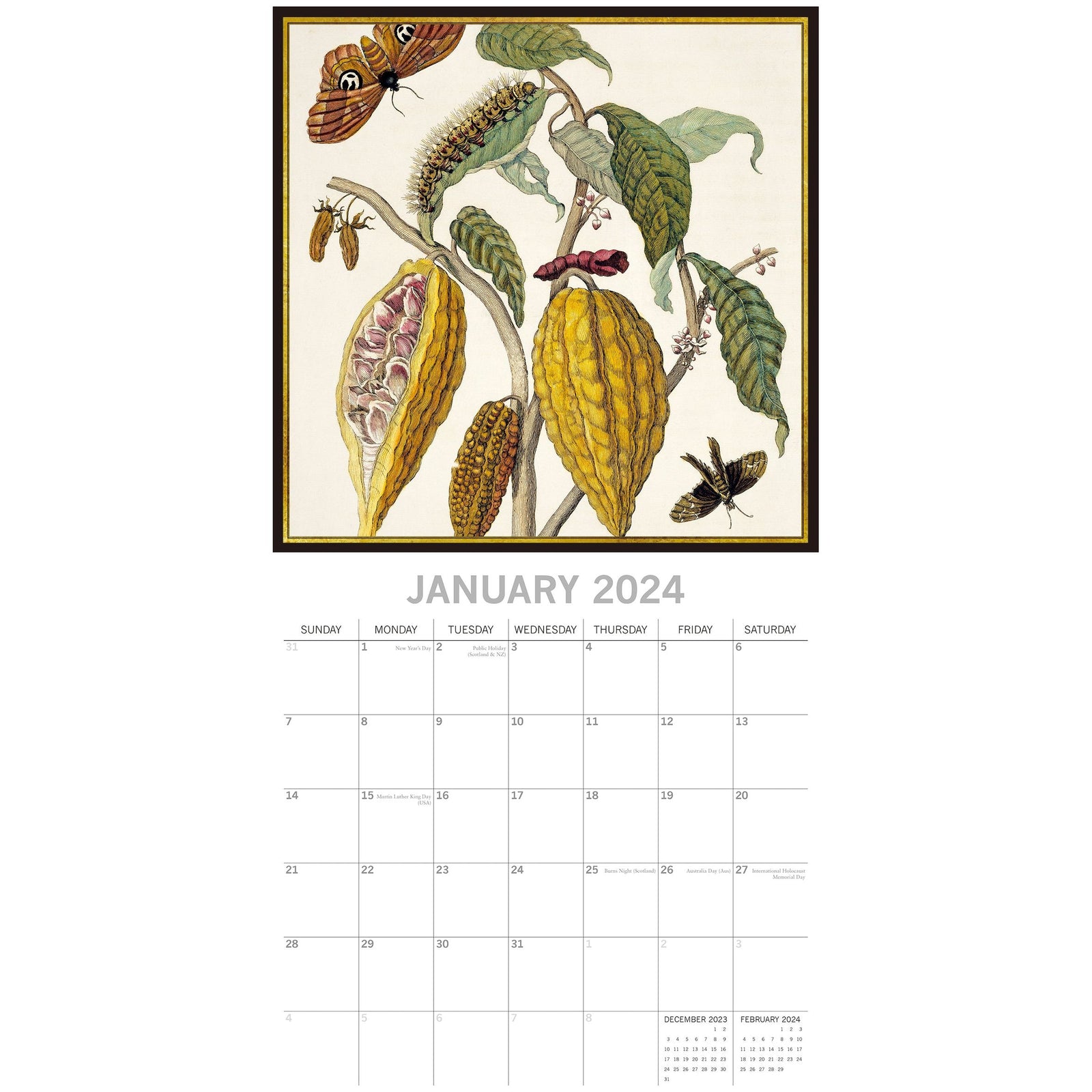 Insects 2024 Square Wall Calendar 16 Months Arts Planner Christmas New Year Gift