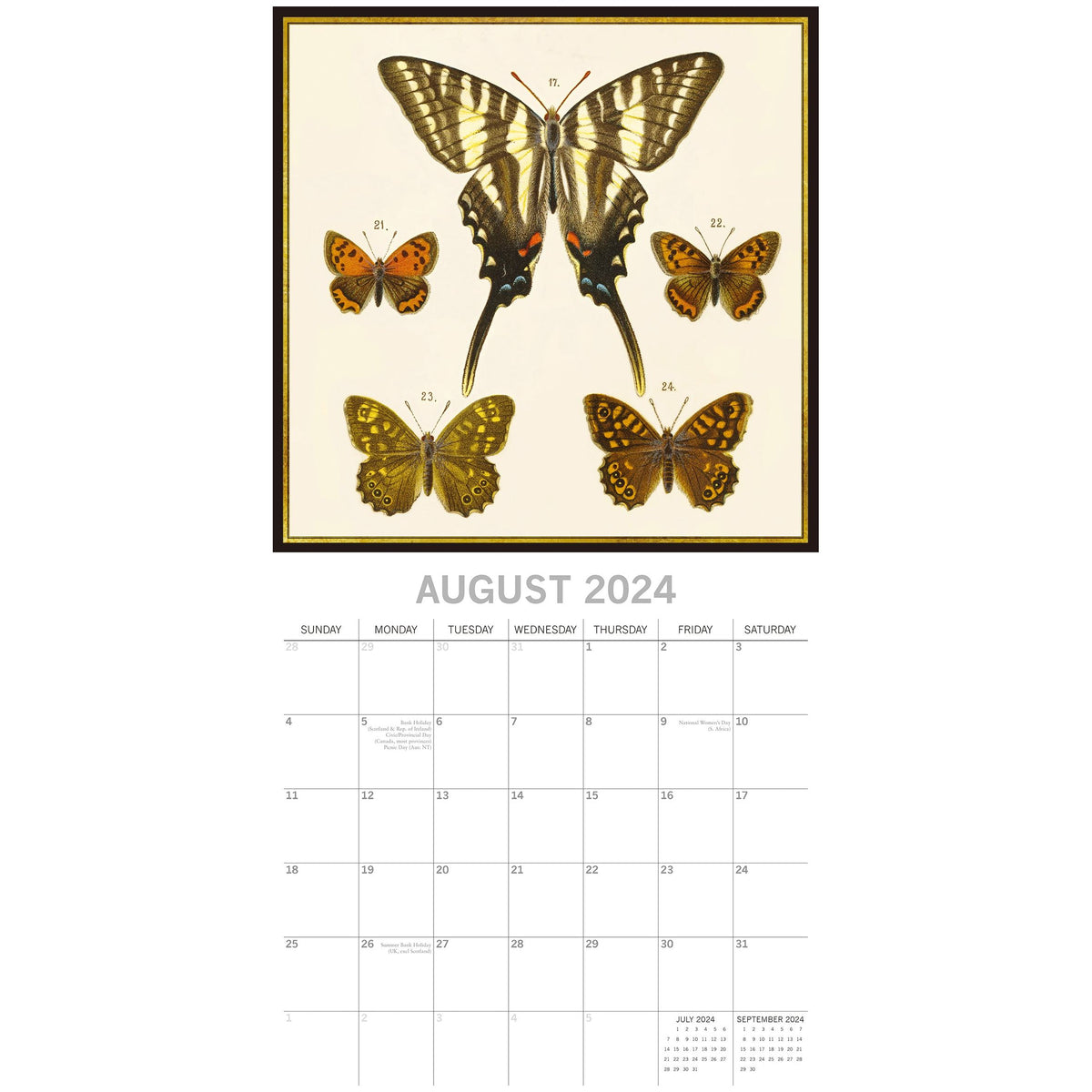 Insects 2024 Square Wall Calendar 16 Months Arts Planner Christmas New Year Gift