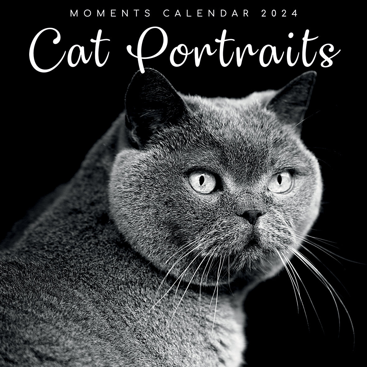 Cat Portraits - 2024 Square Wall Calendar 16 Months Black &amp; White Planner Gift