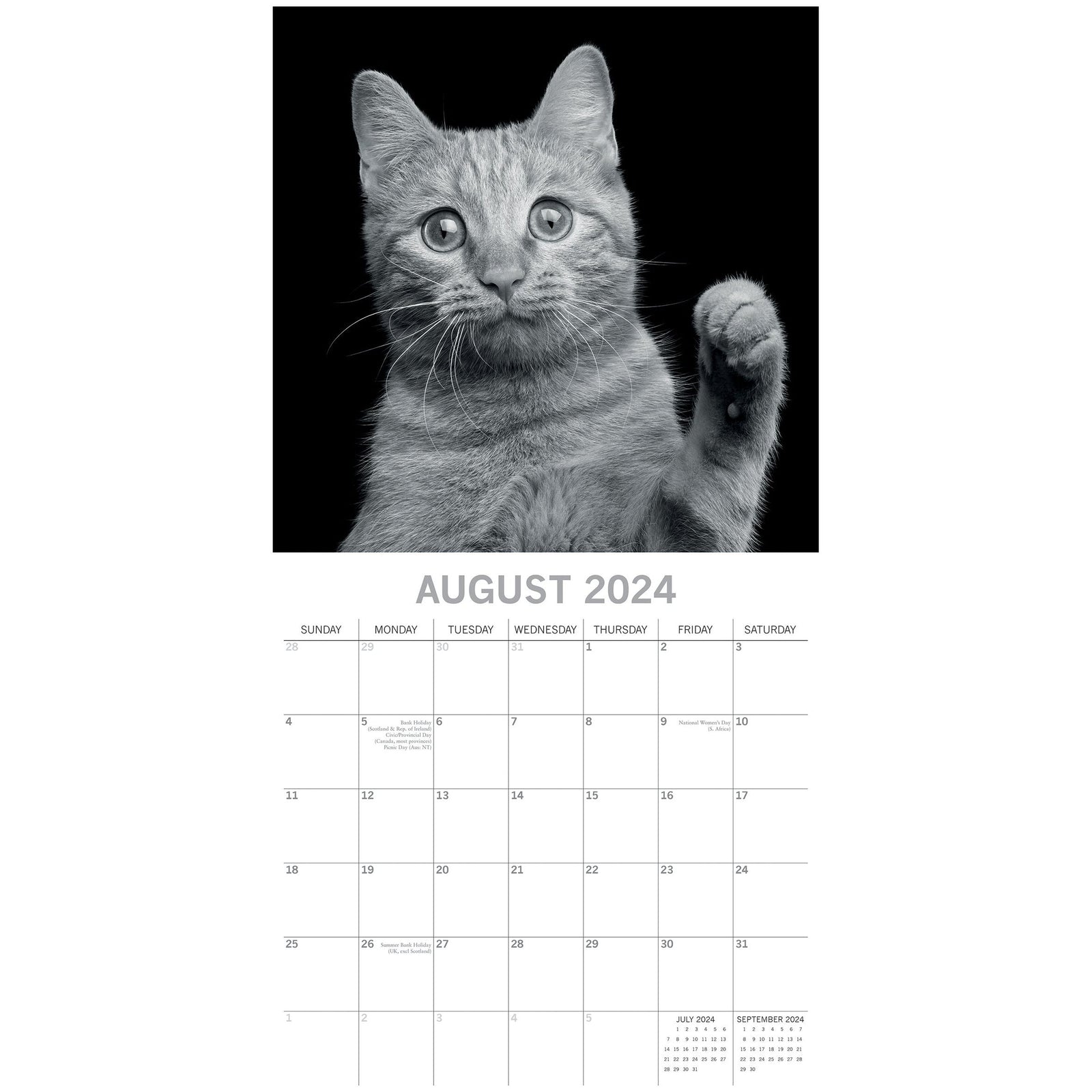 Cat Portraits - 2024 Square Wall Calendar 16 Months Black & White Planner Gift