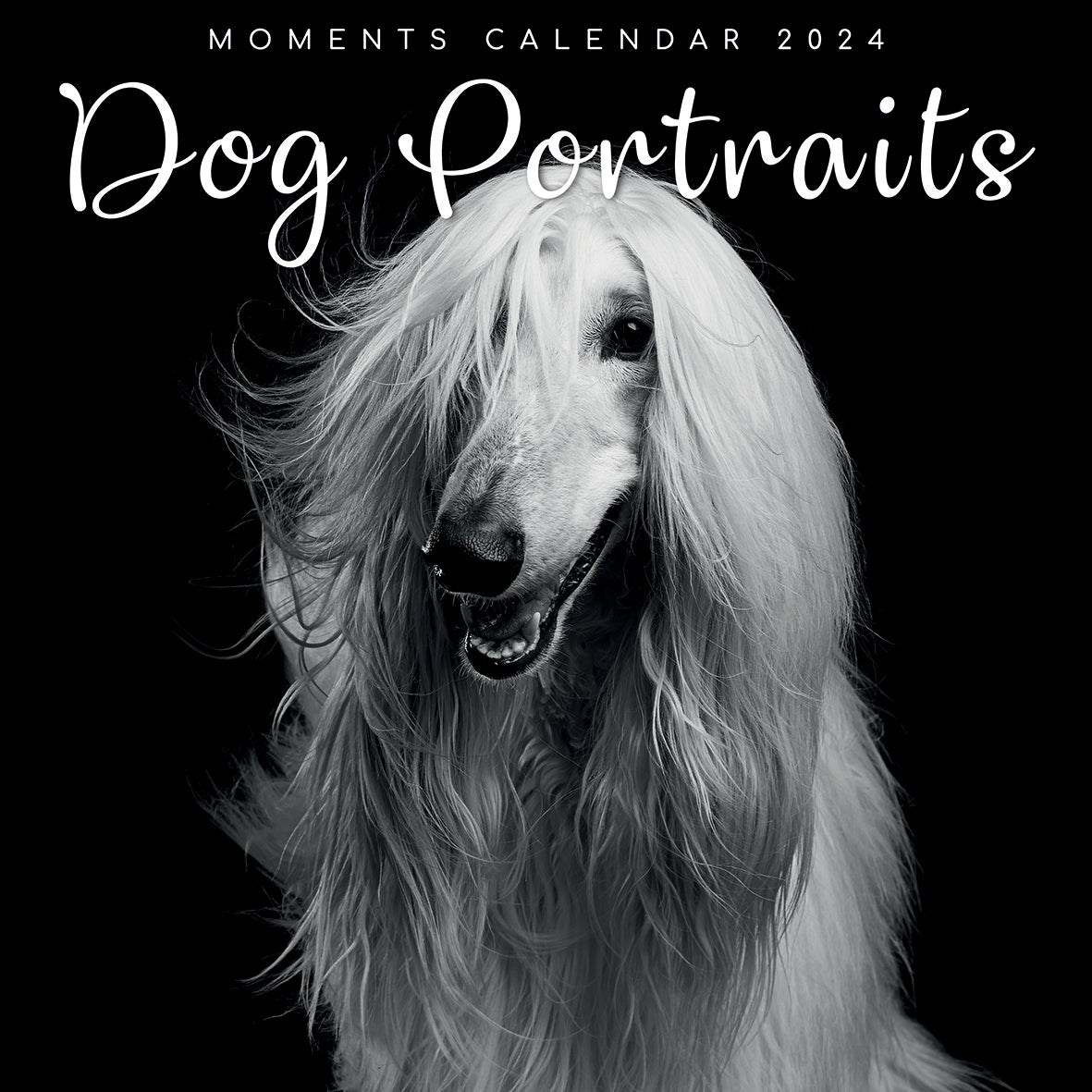 Dog Portraits - 2024 Square Wall Calendar 16 Months Black &amp; White Planner Gift