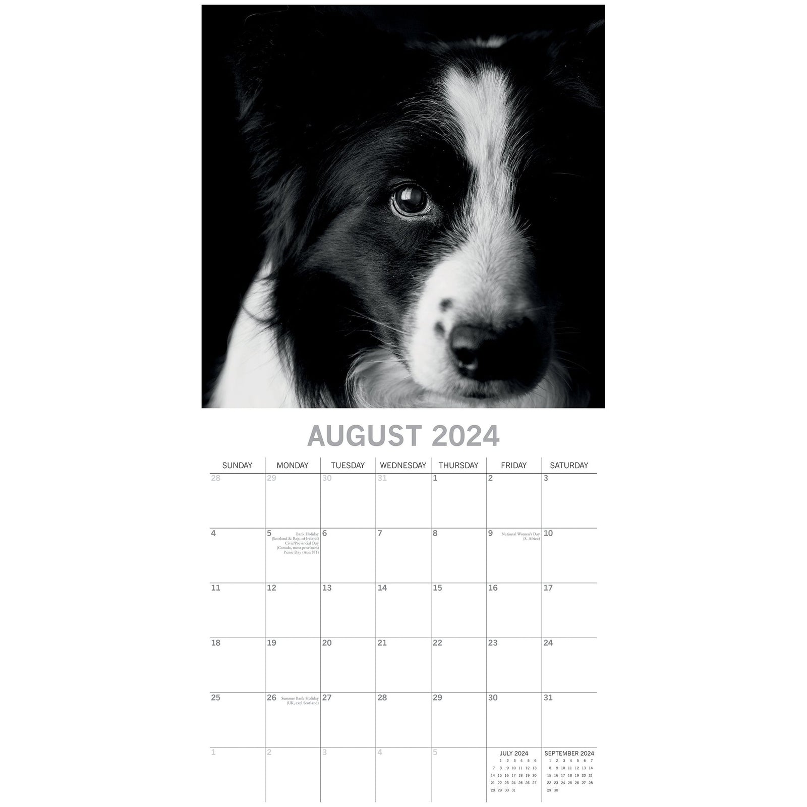 Dog Portraits - 2024 Square Wall Calendar 16 Months Black & White Planner Gift