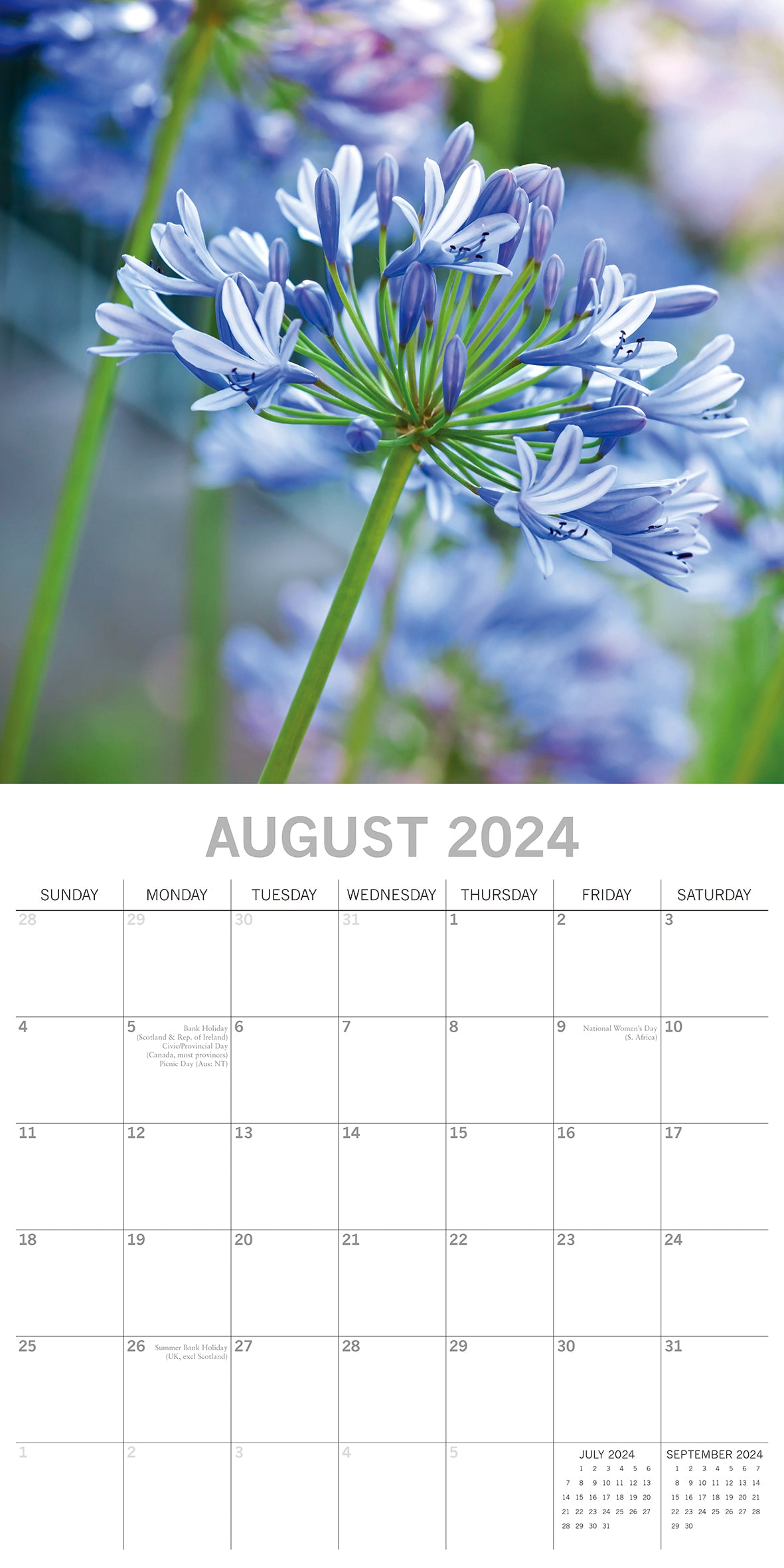 Beauty of Flowers 2024 Square Wall Calendar 16Month Floral Planner New Year Gift