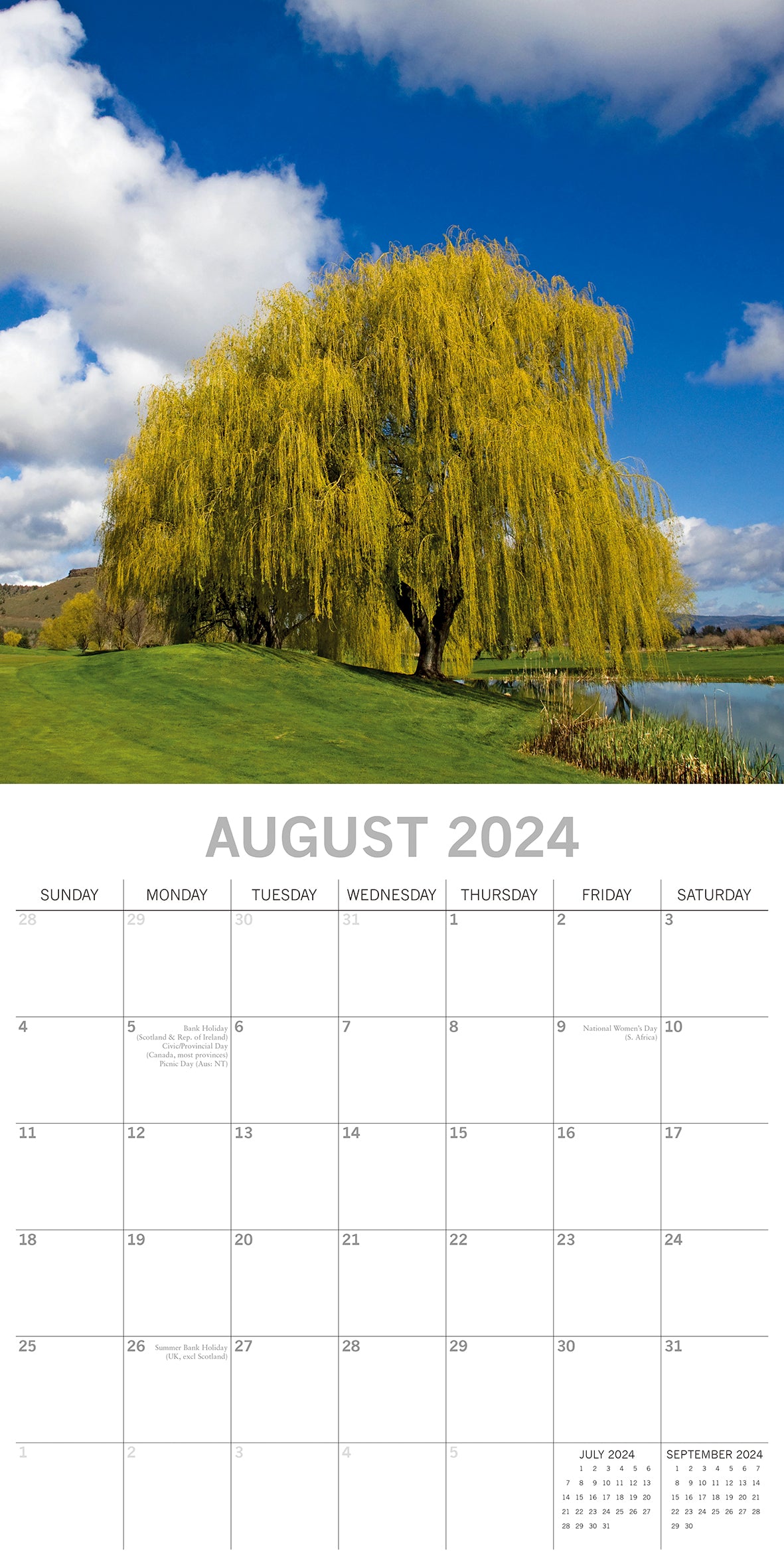 Beauty of Trees 2024 Square Wall Calendar 16 Month Floral Planner Christmas Gift