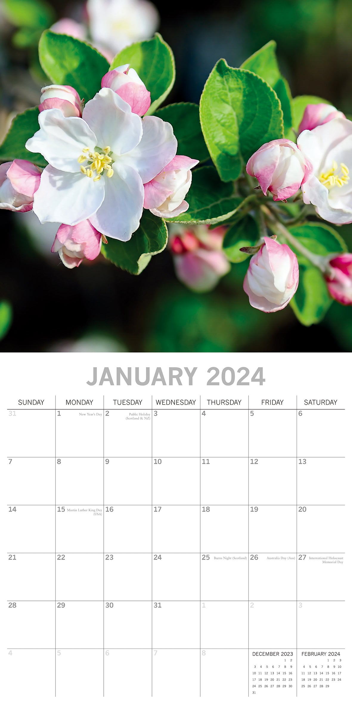 Blossoms 2024 Square Wall Calendar 16 Months Floral Flower Planner New Year Gift