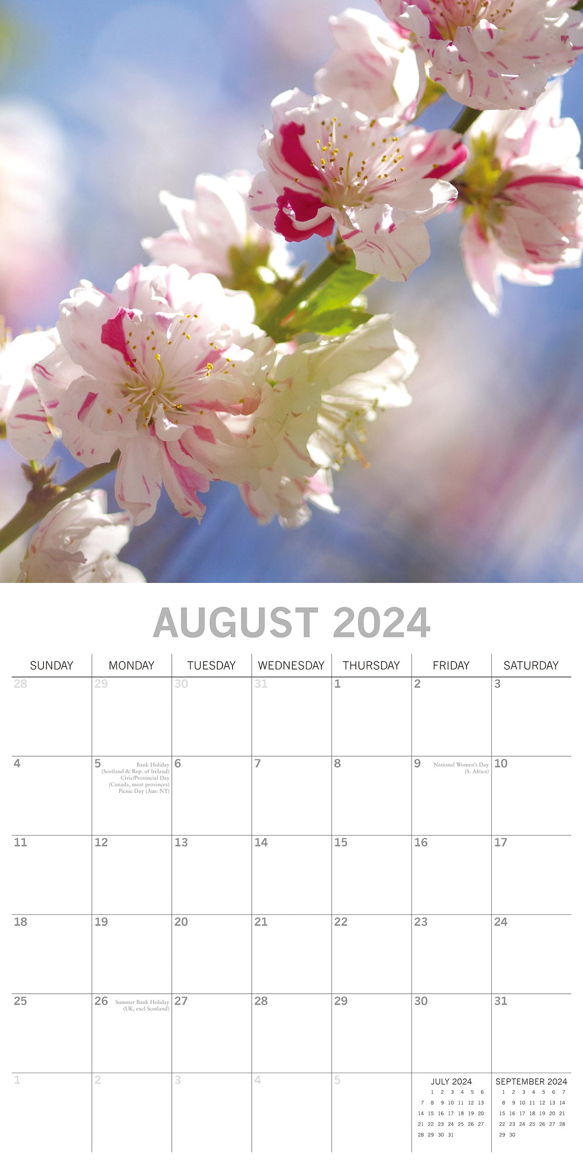 Blossoms 2024 Square Wall Calendar 16 Months Floral Flower Planner New Year Gift