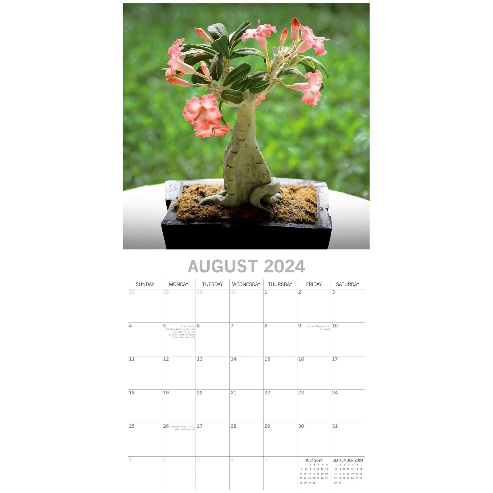 Bonsai 2024 Square Wall Calendar 16 Month Floral Planner Christmas New Year Gift