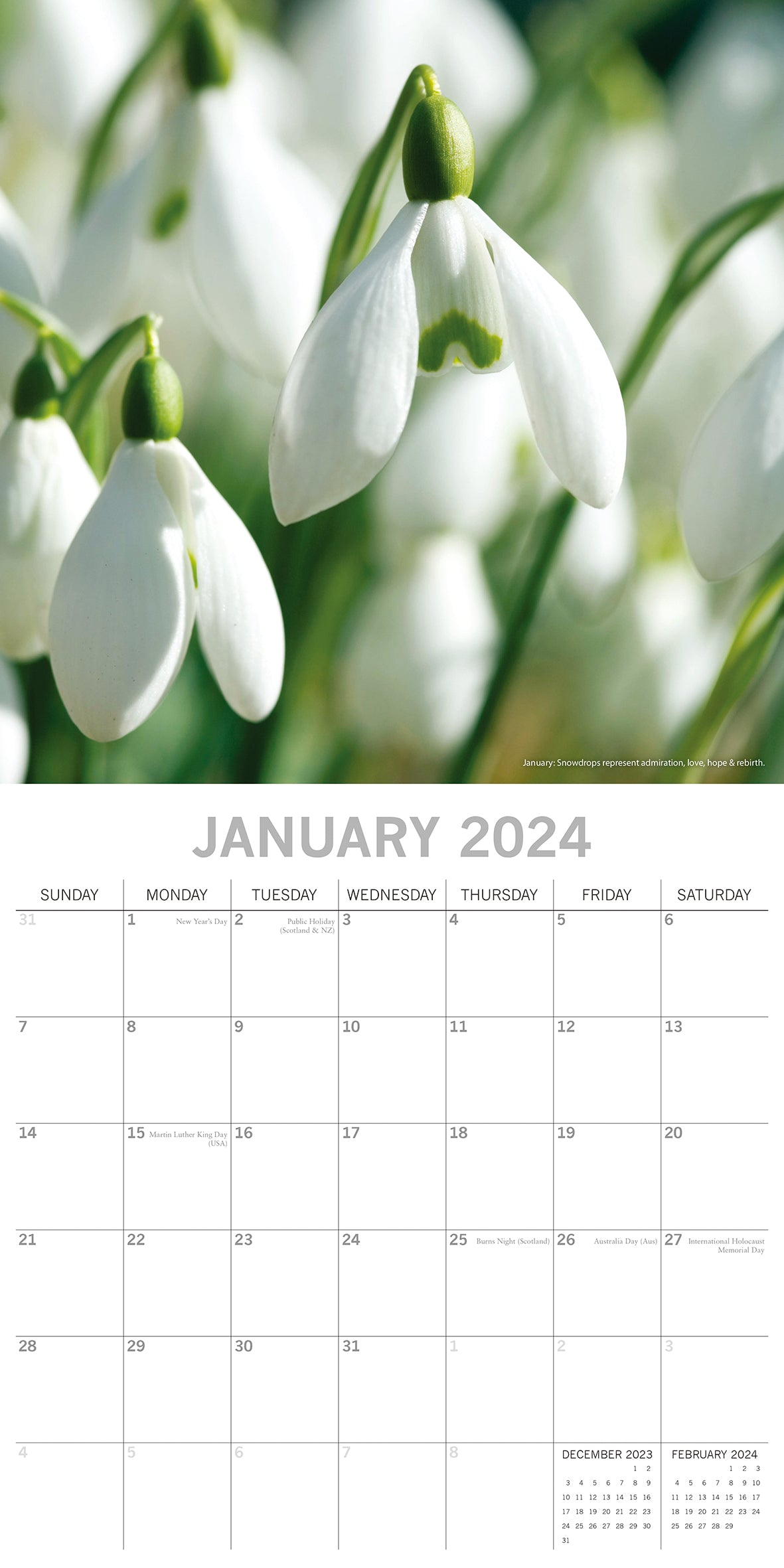 Flower of the Month - 2024 Square Wall Calendar 16 Months Floral Planner Gift