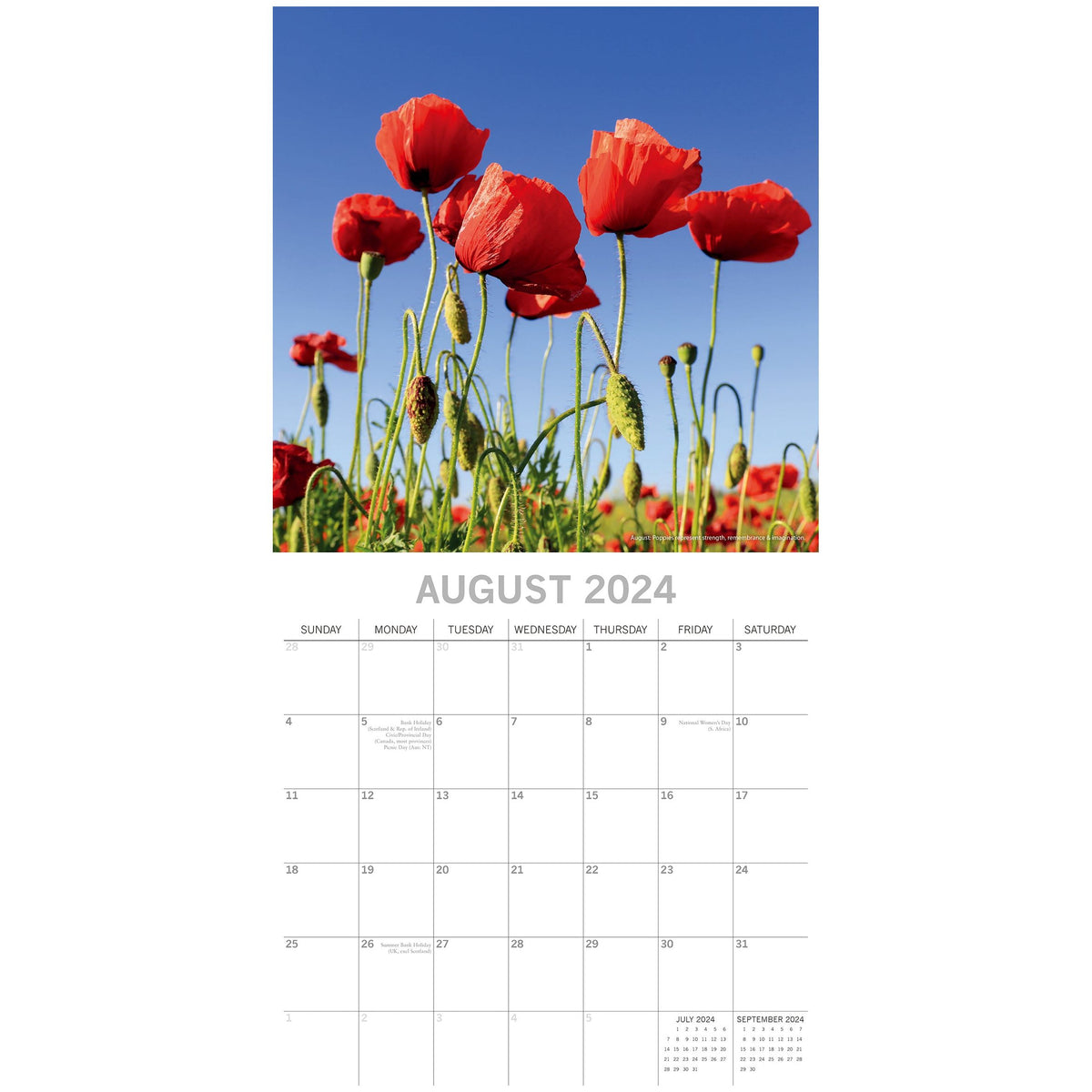 Flower of the Month - 2024 Square Wall Calendar 16 Months Floral Planner Gift