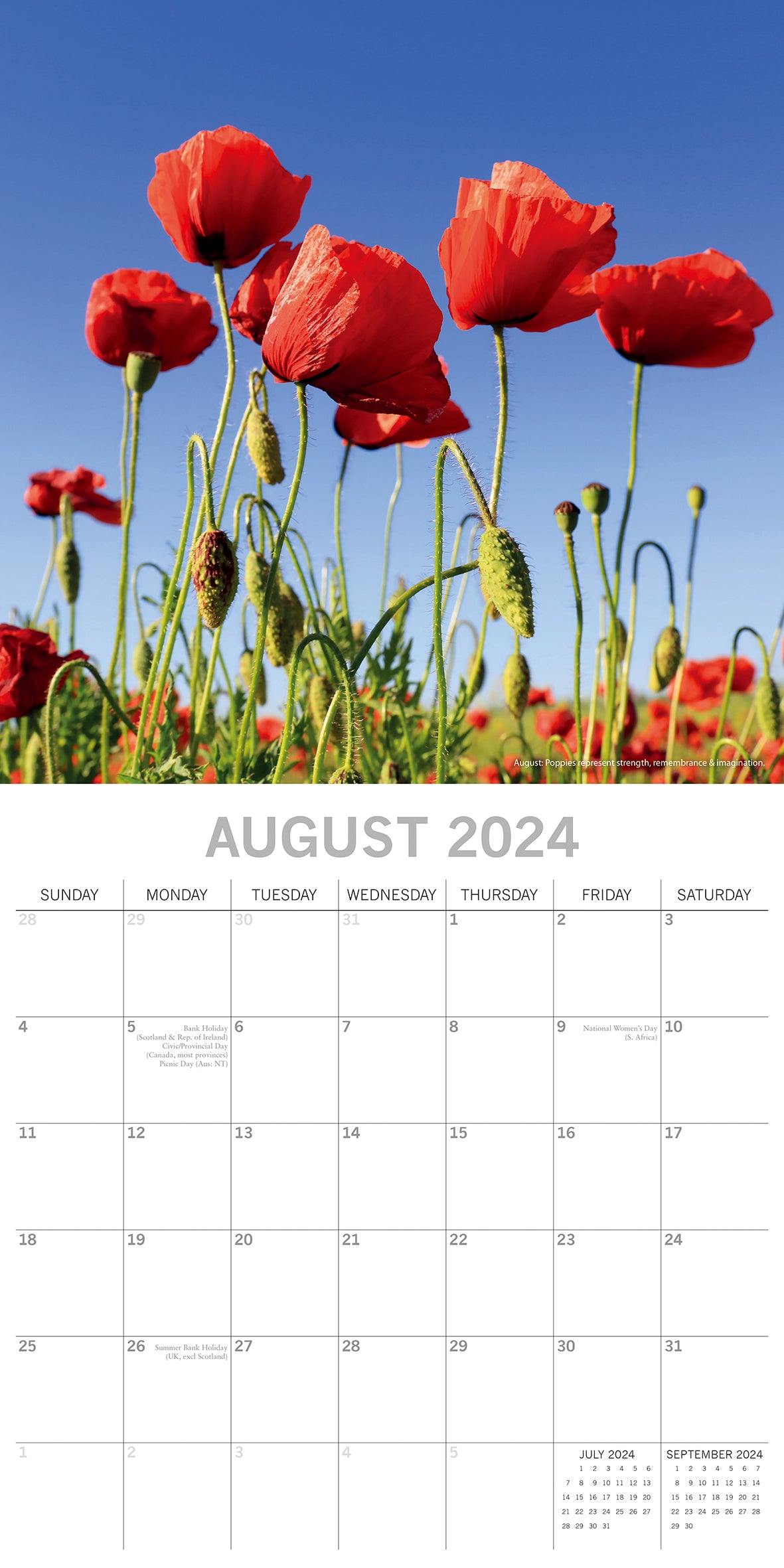 Flower of the Month - 2024 Square Wall Calendar 16 Months Floral Planner Gift