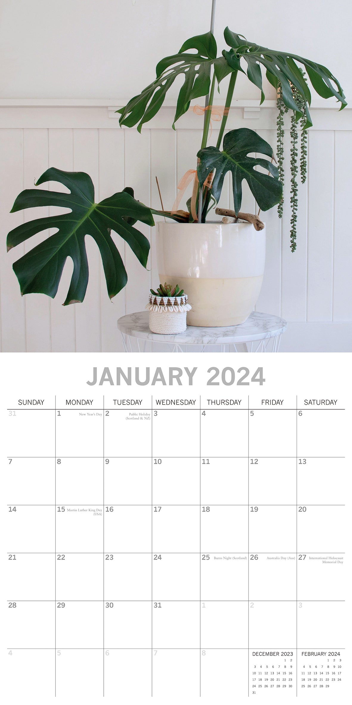 House Plants - 2024 Square Wall Calendar 16 Months Floral Flower Planner New Year Gift