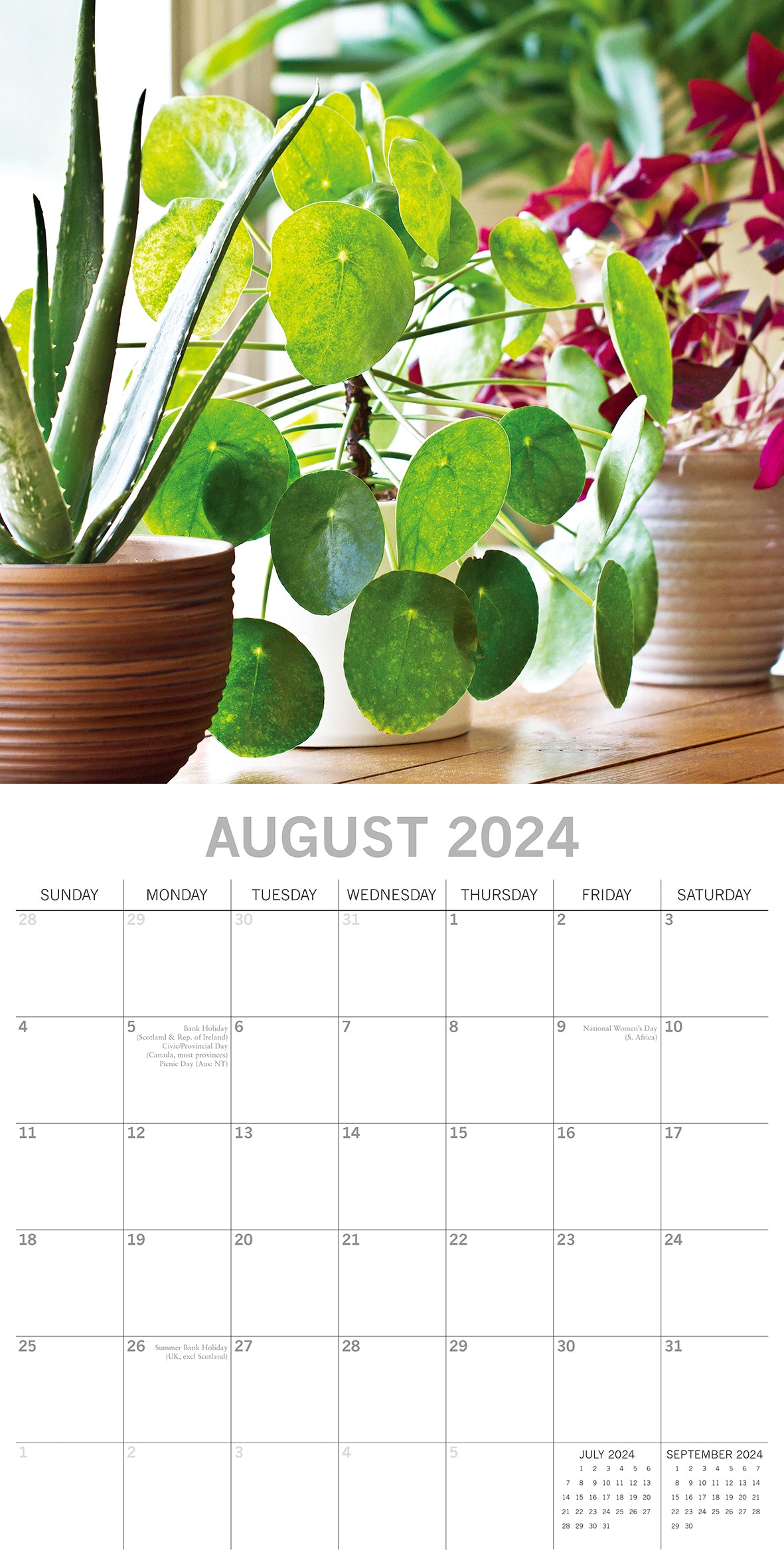House Plants - 2024 Square Wall Calendar 16 Months Floral Flower Planner New Year Gift