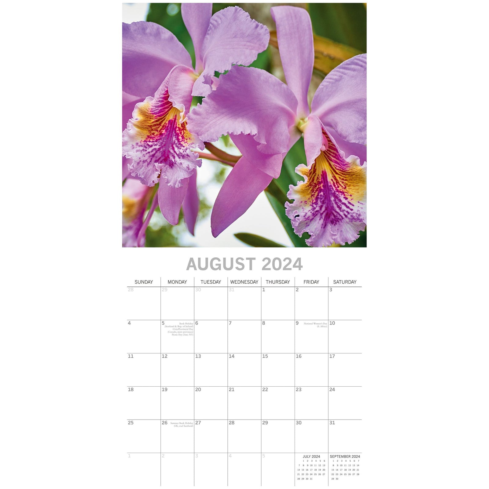 Orchids 2024 Square Wall Calendar 16Month Floral Planner Christmas New Year Gift