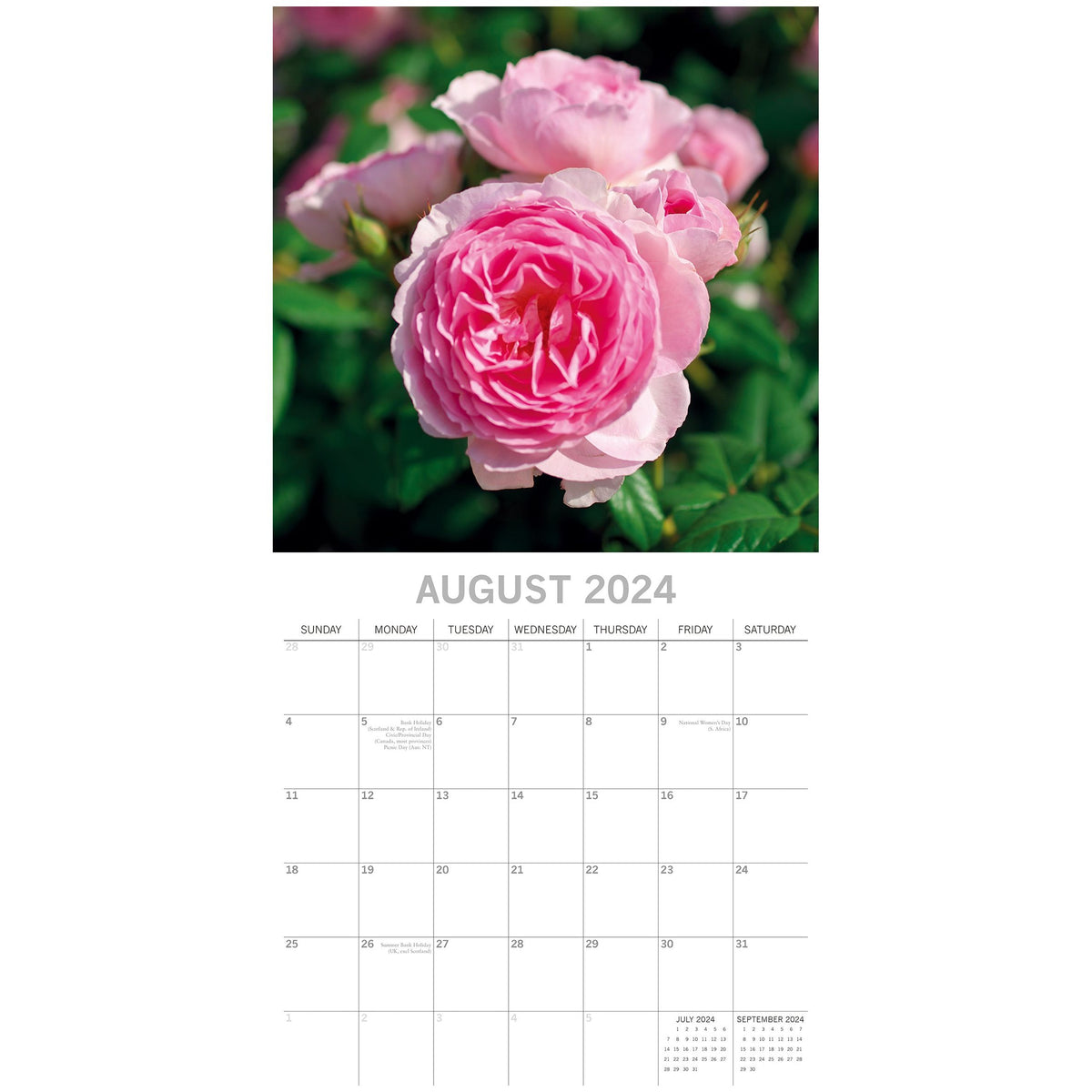 Roses 2024 Square Wall Calendar 16 Months Floral Planner Christmas New Year Gift