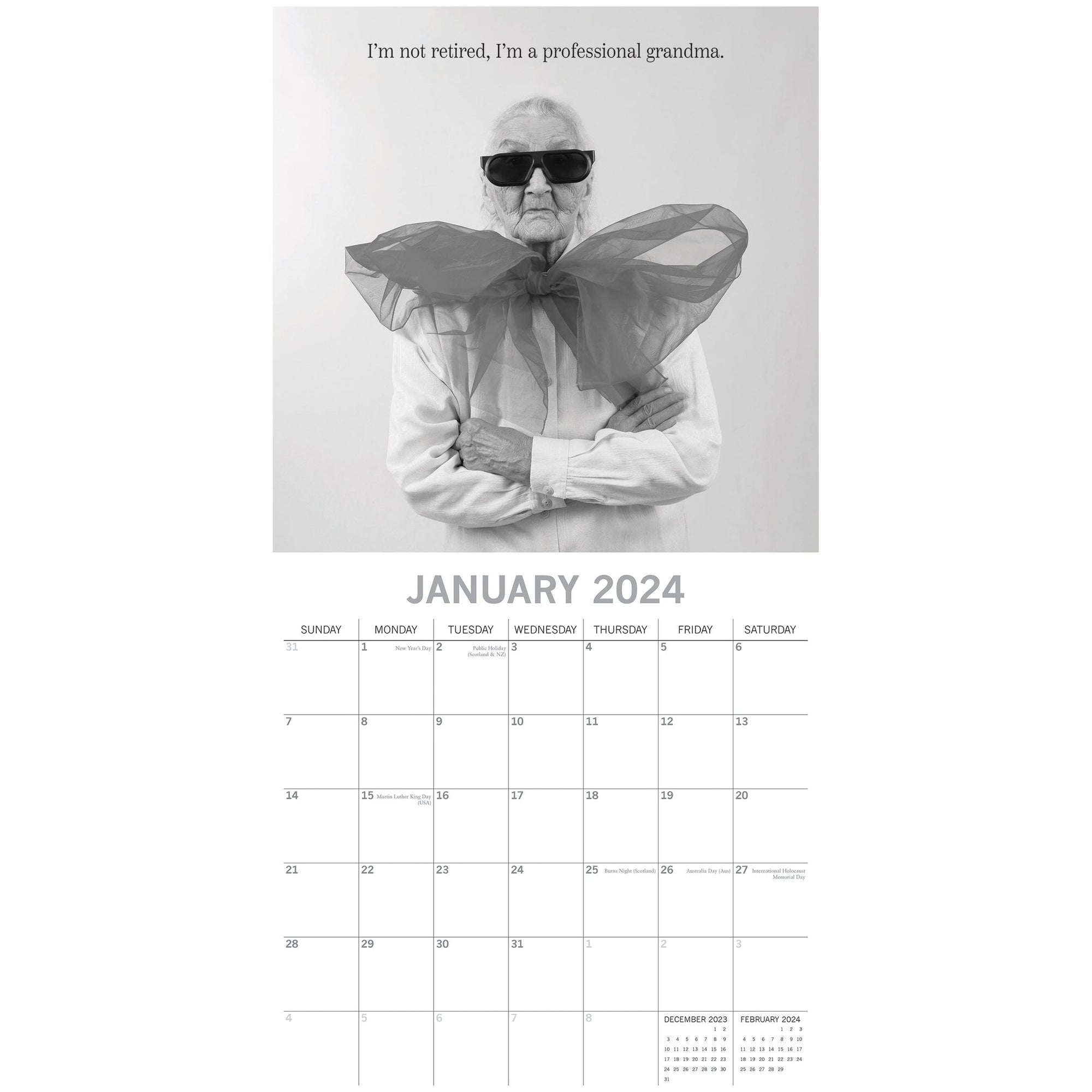 Wrinkly Wit - 2024 Square Wall Calendar 16 Months Funny Planner New Year Gift