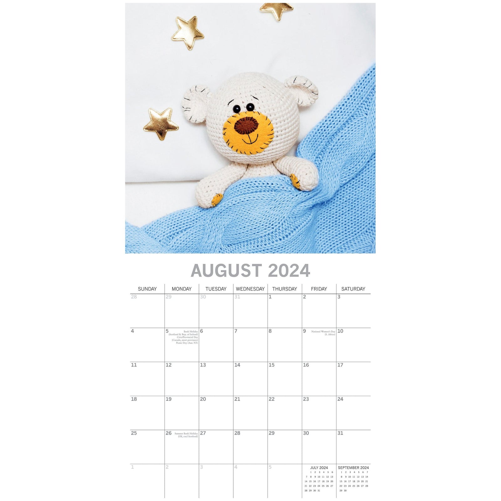 Teddy Bears - 2024 Square Wall Calendar 16 Month Lifestyle Planner New Year Gift