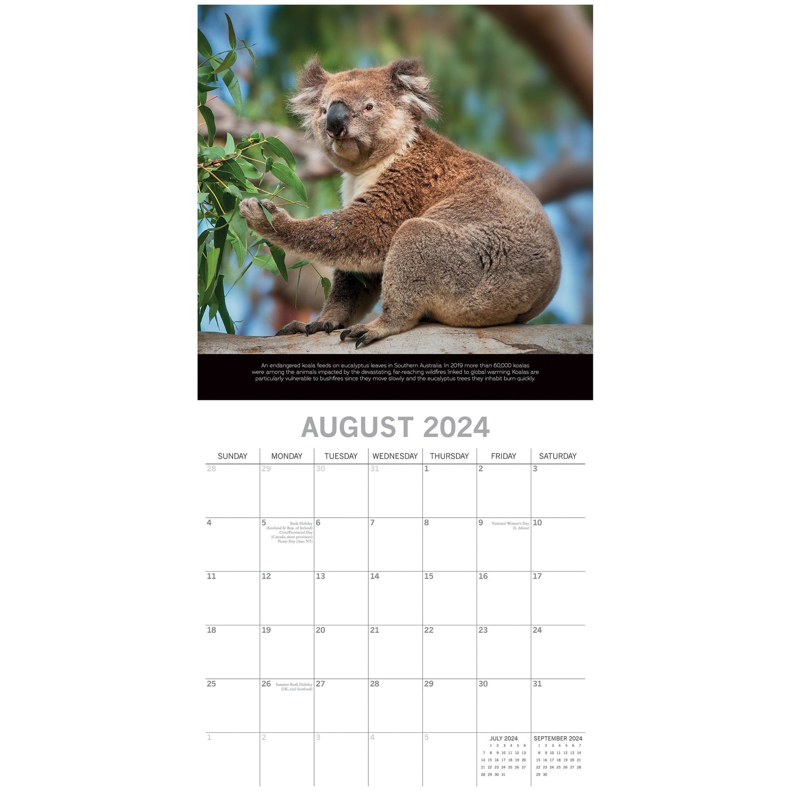 Save the Planet - 2024 Square Wall Calendar 16 Months Planner Xmas New Year Gift